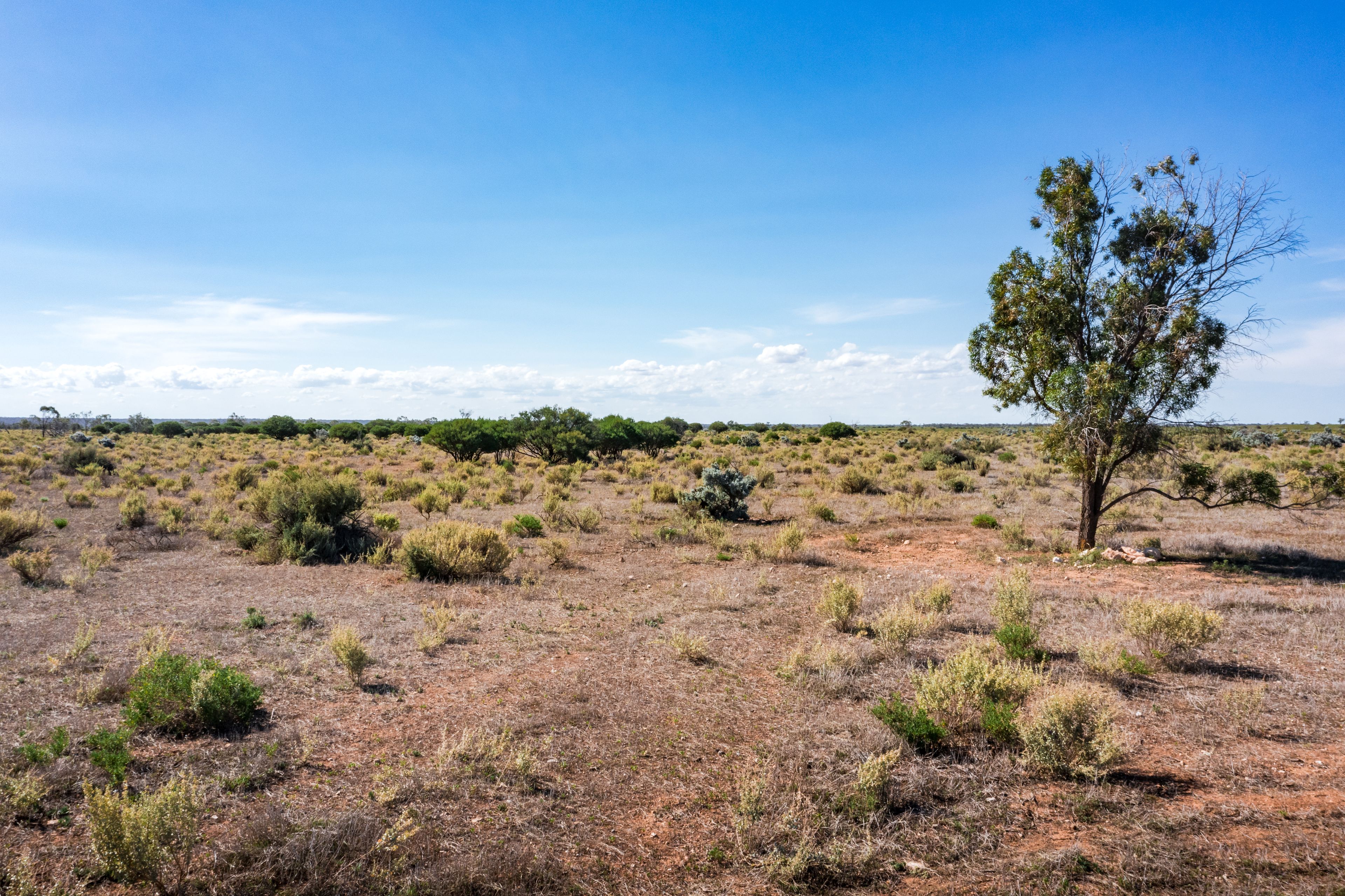 Lot 40 Mckay Road, Blanchetown, SA 5357