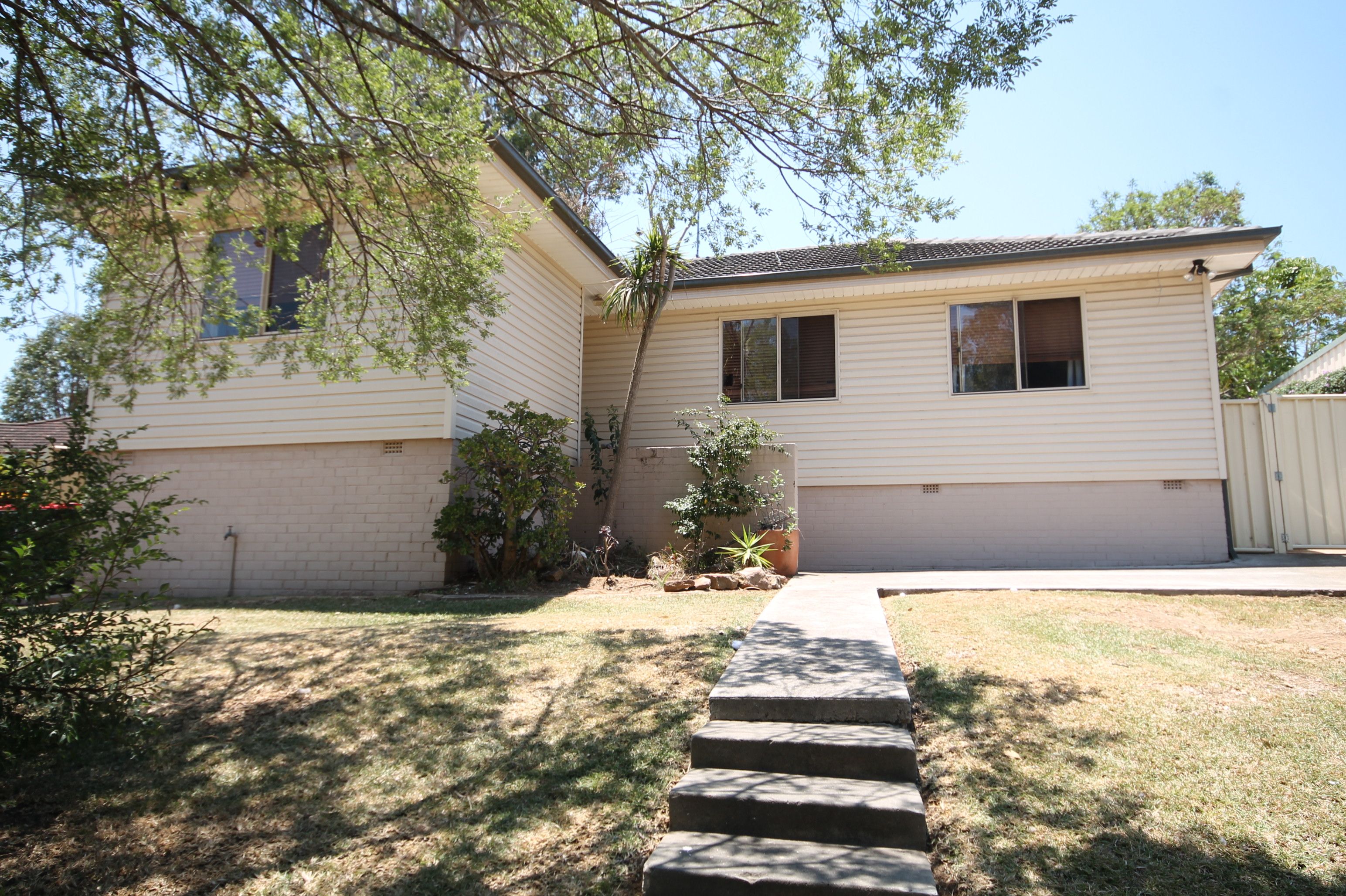 11 Lomani Street