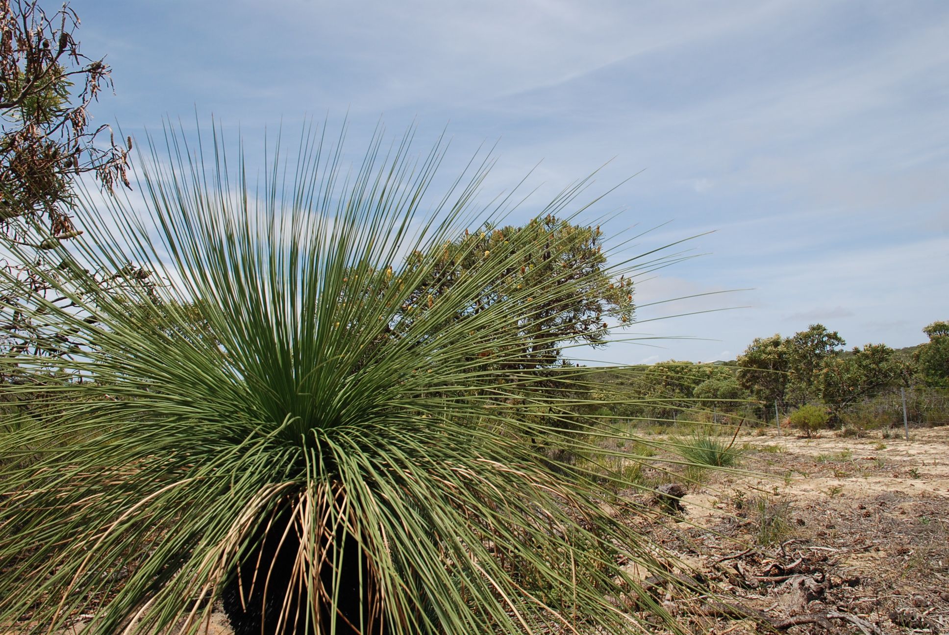 Lot 61 River Loop, Jurien Bay, WA 6516