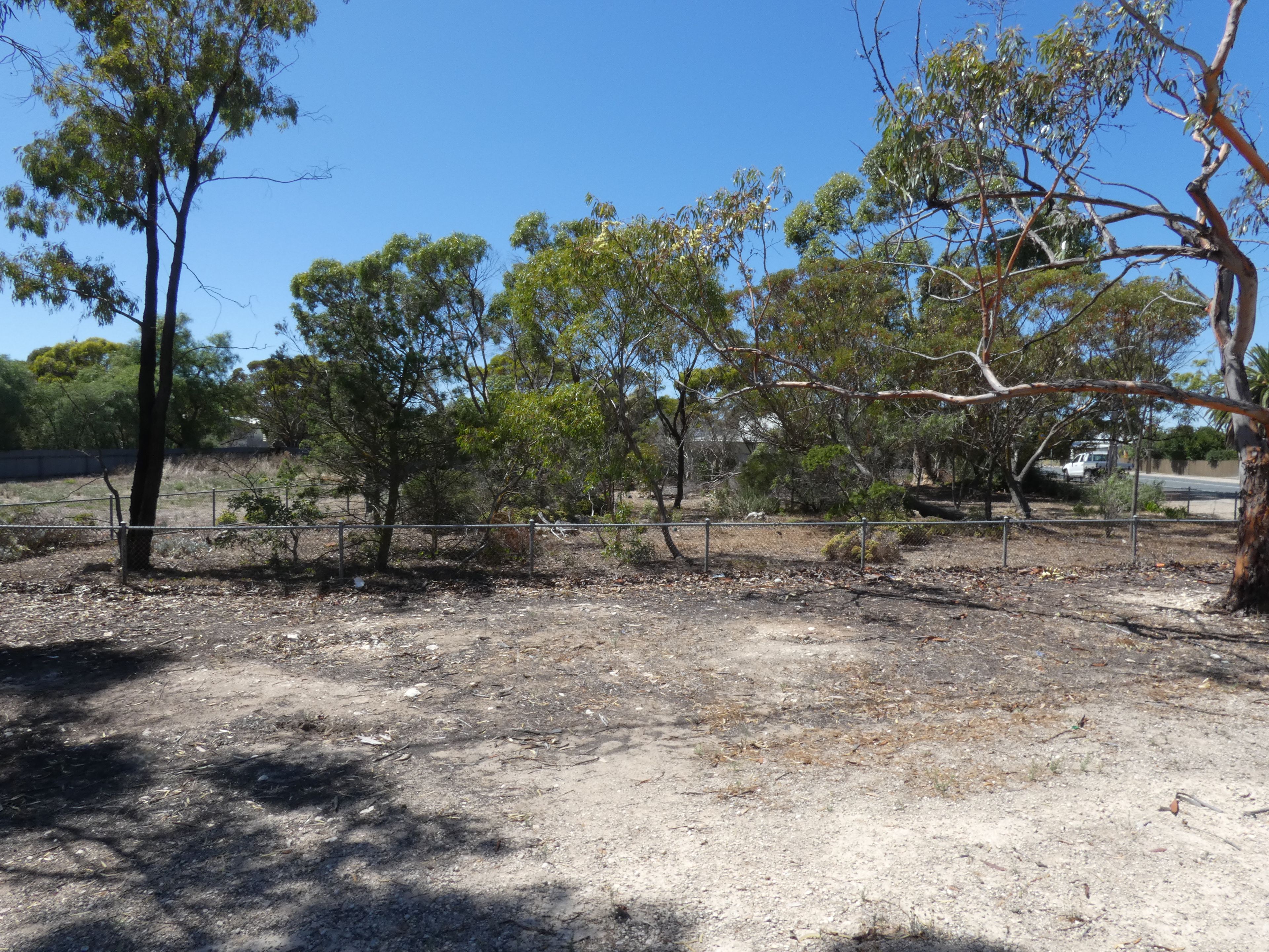 39 Trevena Road, Tailem Bend, SA 5260 Sold Land Ray White Mount