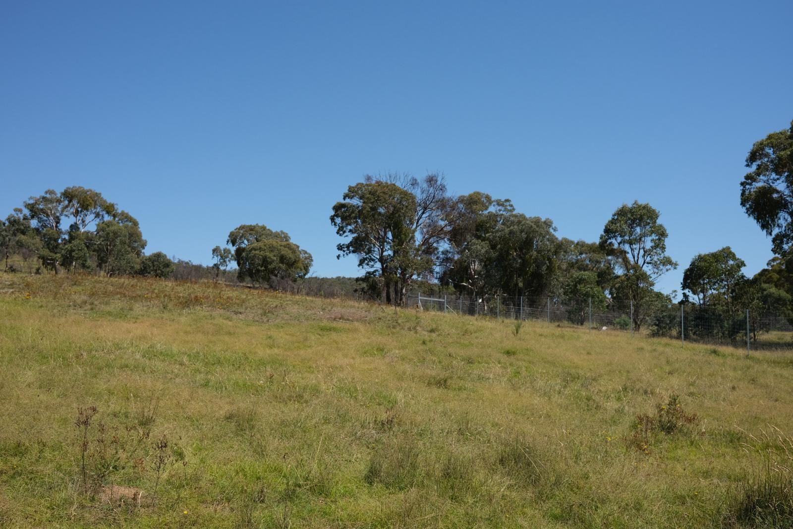 343 Greenwood Road, Murrumbateman, NSW 2582 Sold Acreage/SemiRural
