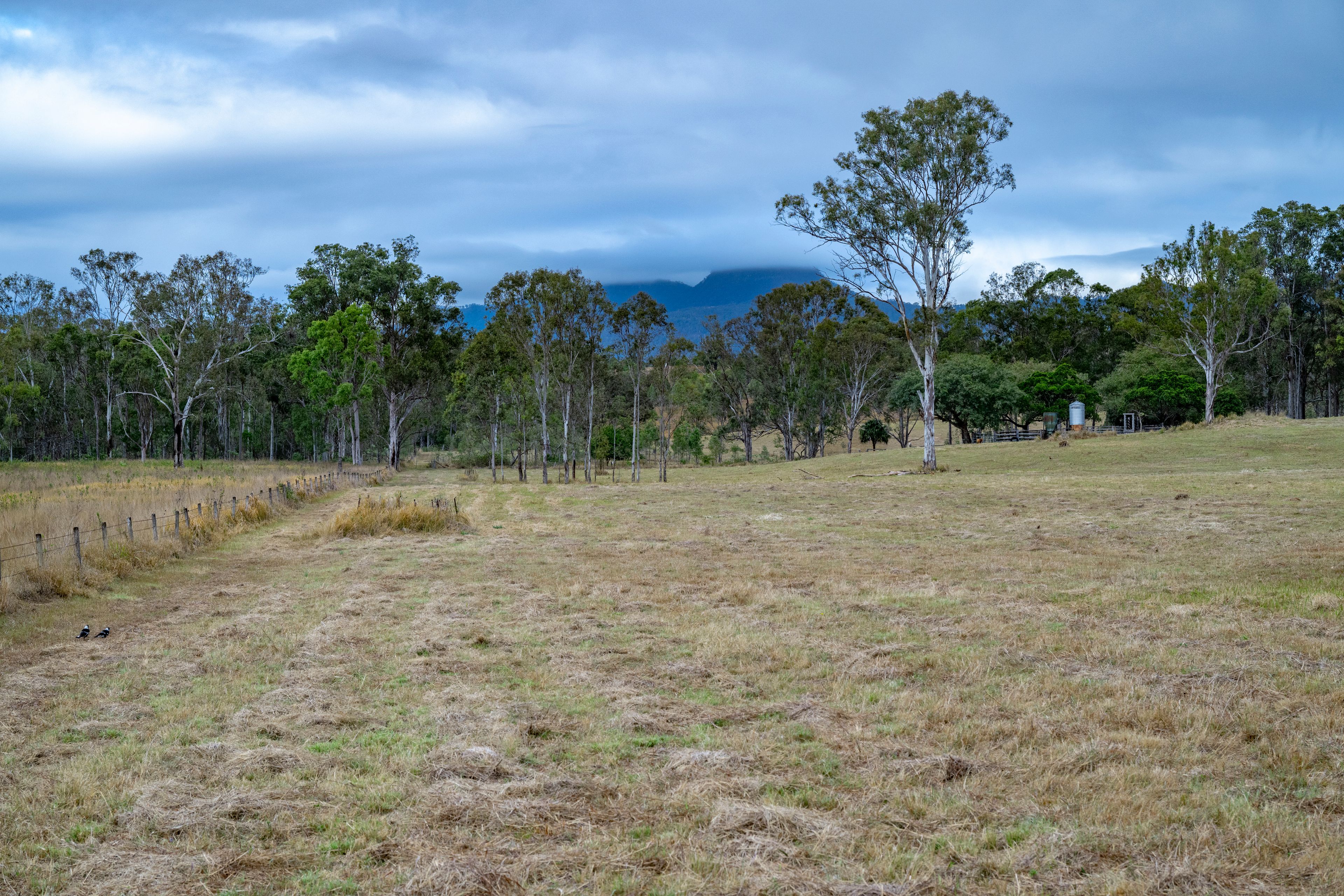 0 Cunningham Highway — photo 20 of 22