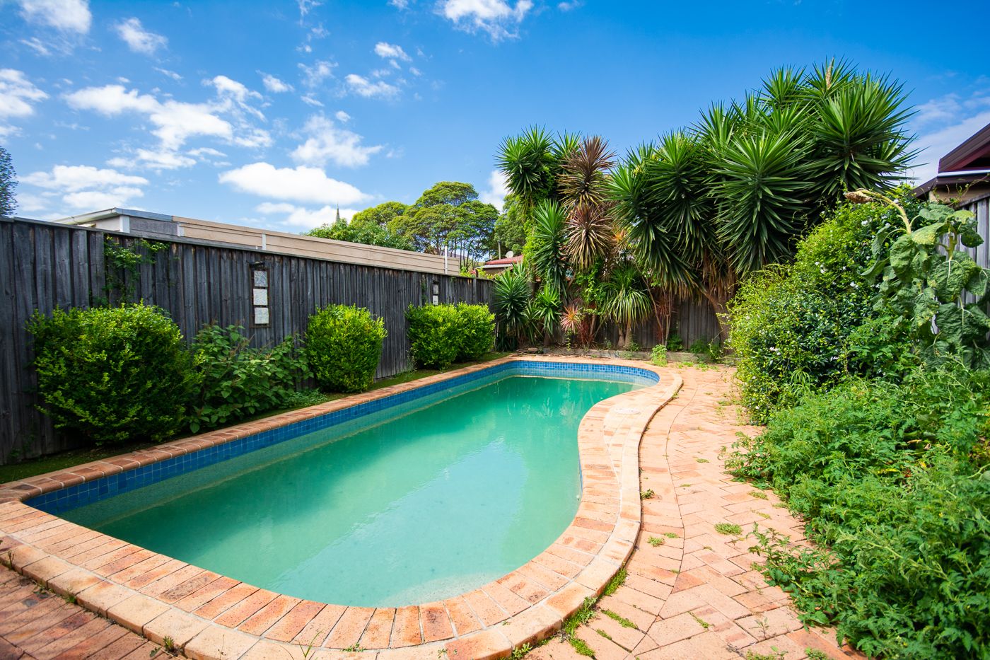 26 Hanks Street, Ashfield, NSW 2131