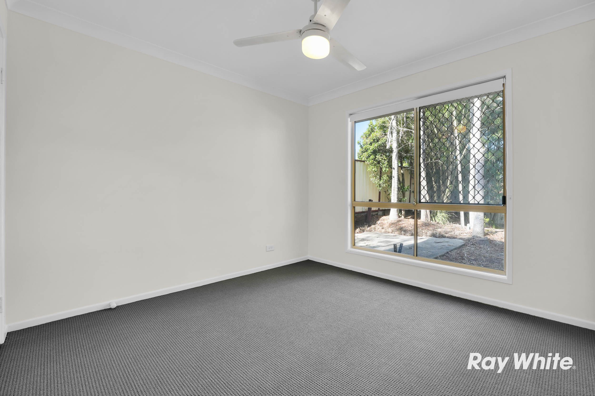 14 Dombeyah Street — photo 13 of 26