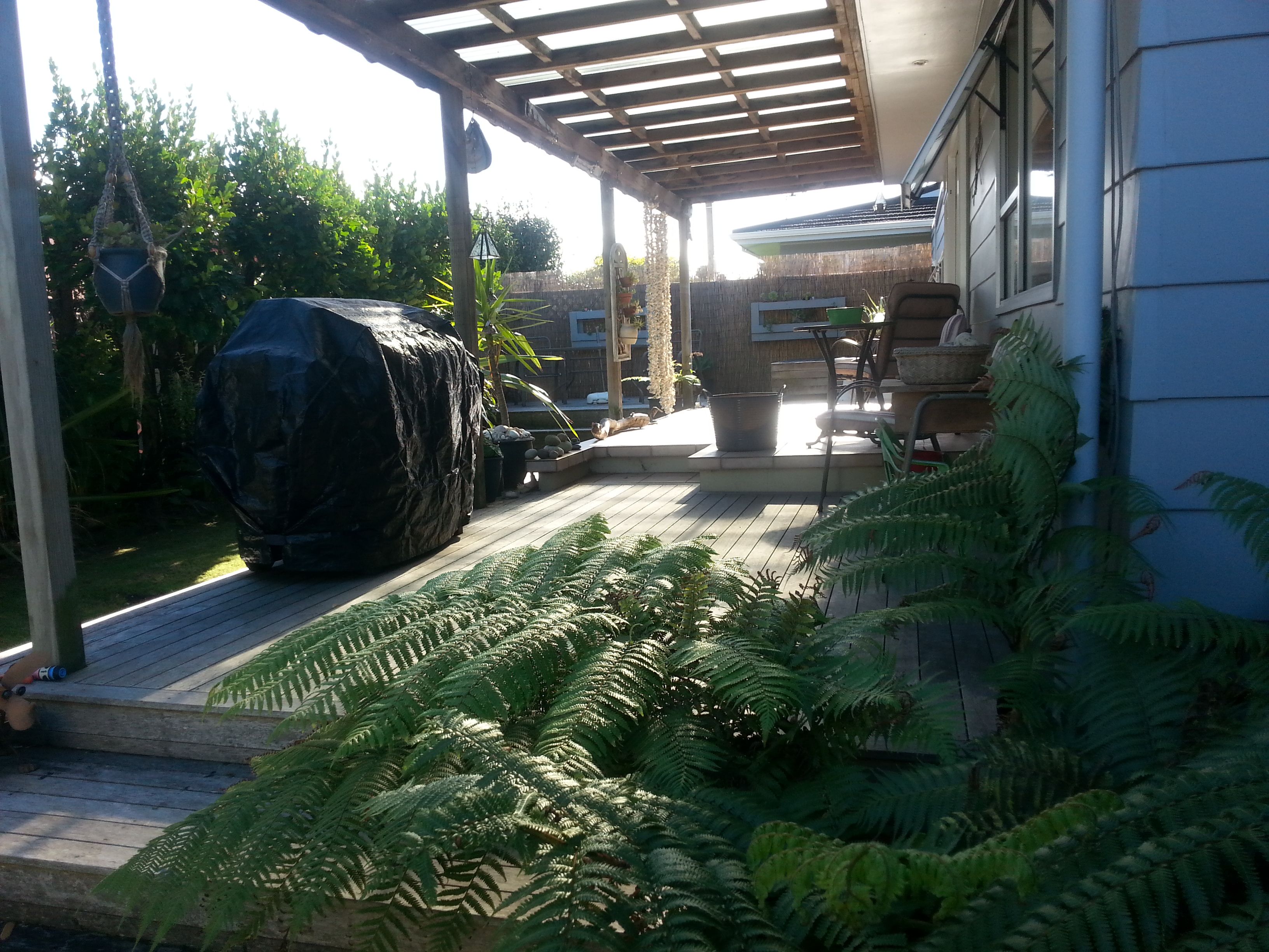 12B Paterson Street, Mt Maunganui, Tauranga City