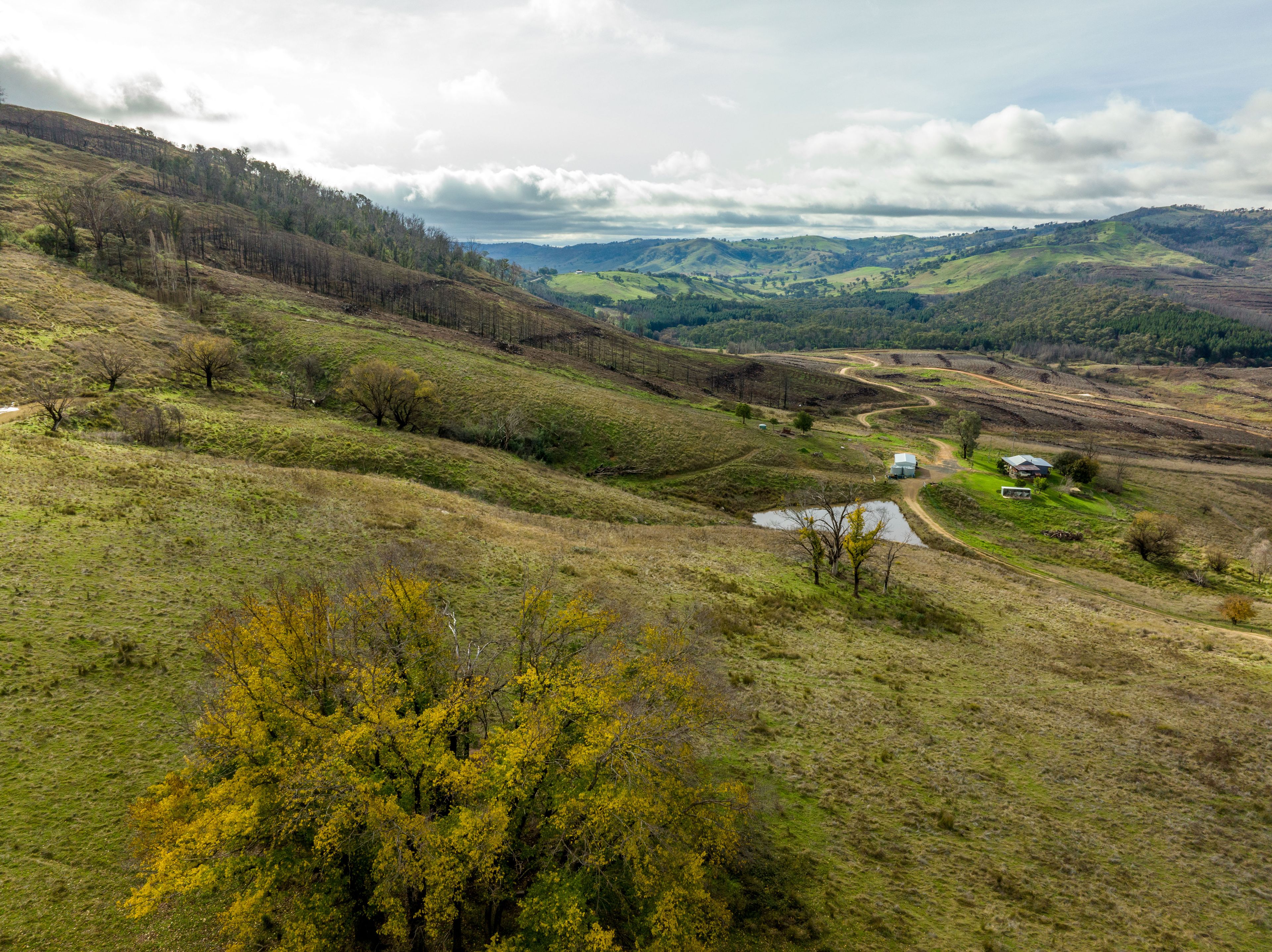 309 Westbrook Road, Taradale, via, Tumbarumba, NSW 2653