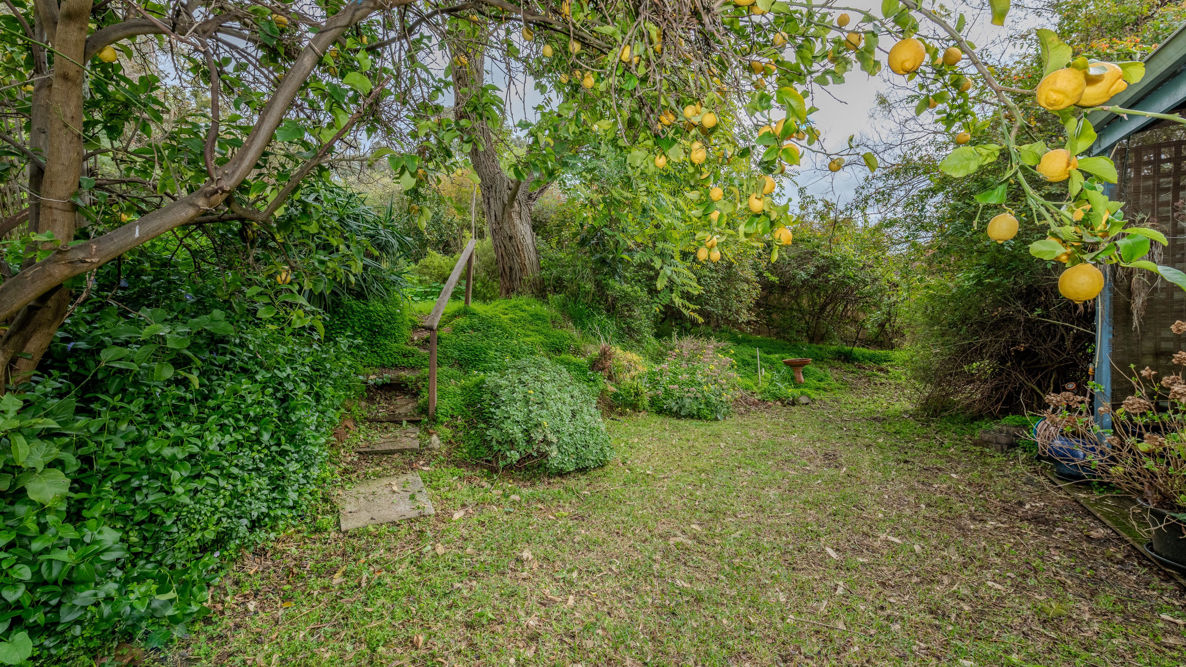 14 Rowley Street — photo 3 of 23