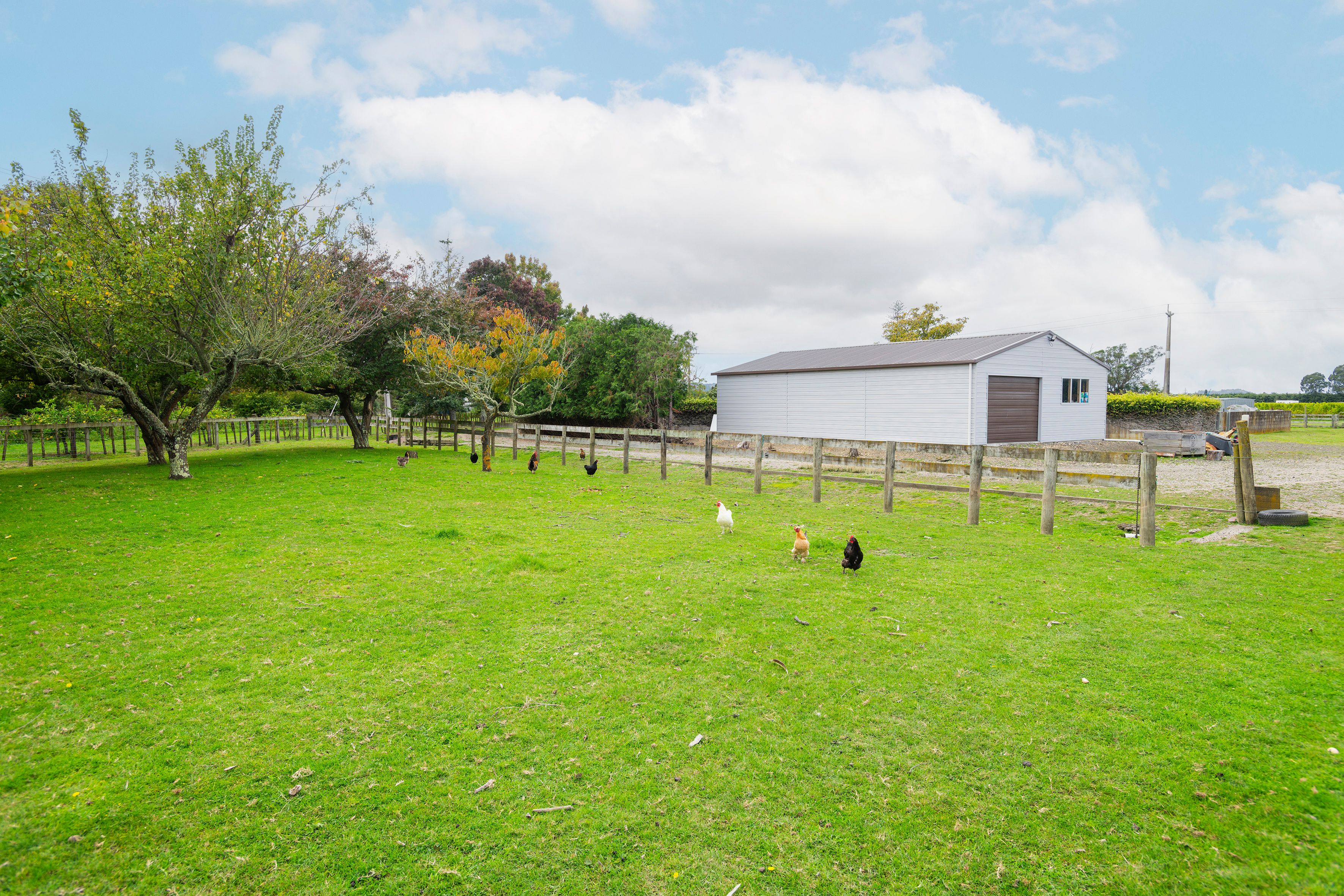 209 Bell Road, Makaraka, Gisborne District