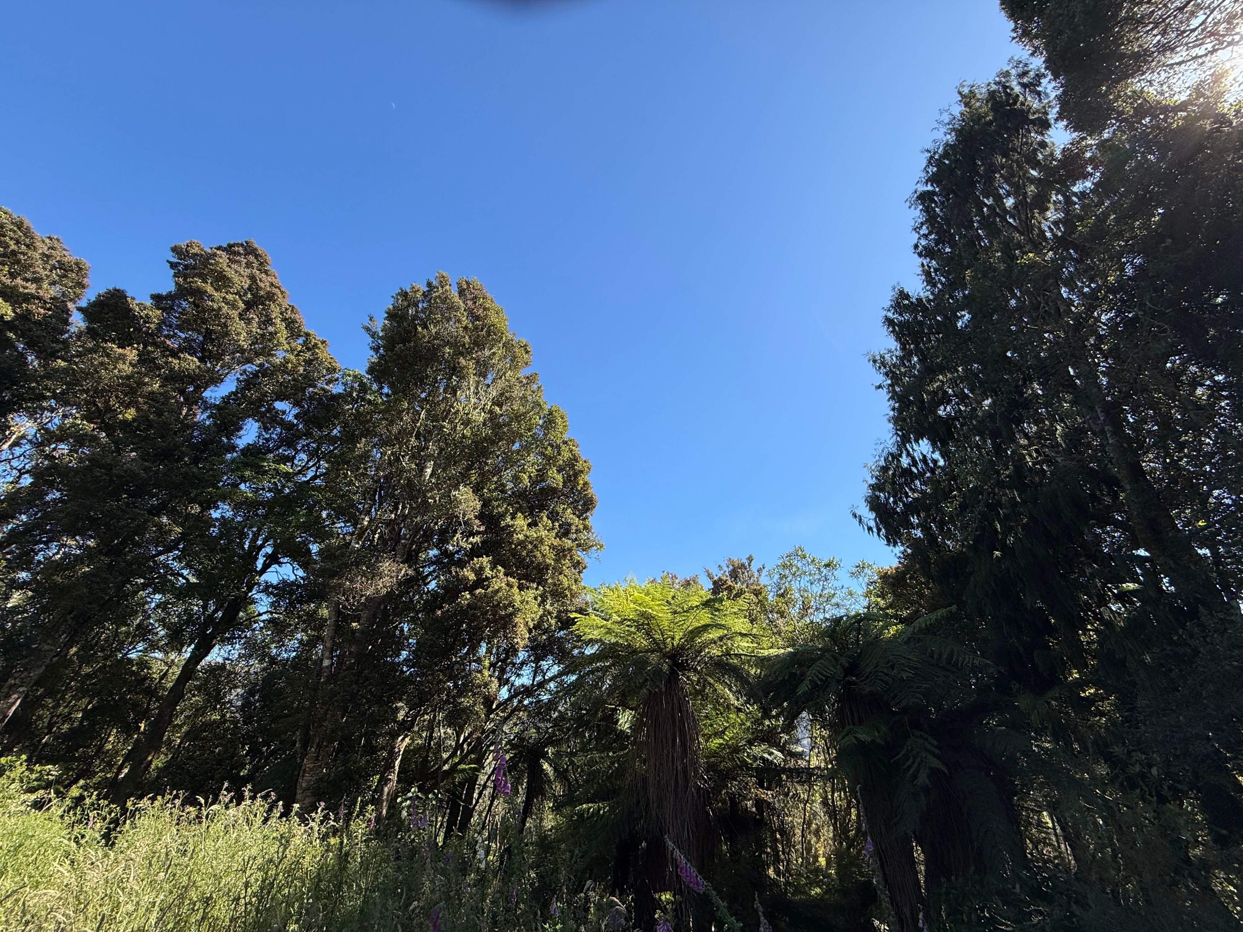 0 Harrington Mill Road, Tahakopa, Clutha District