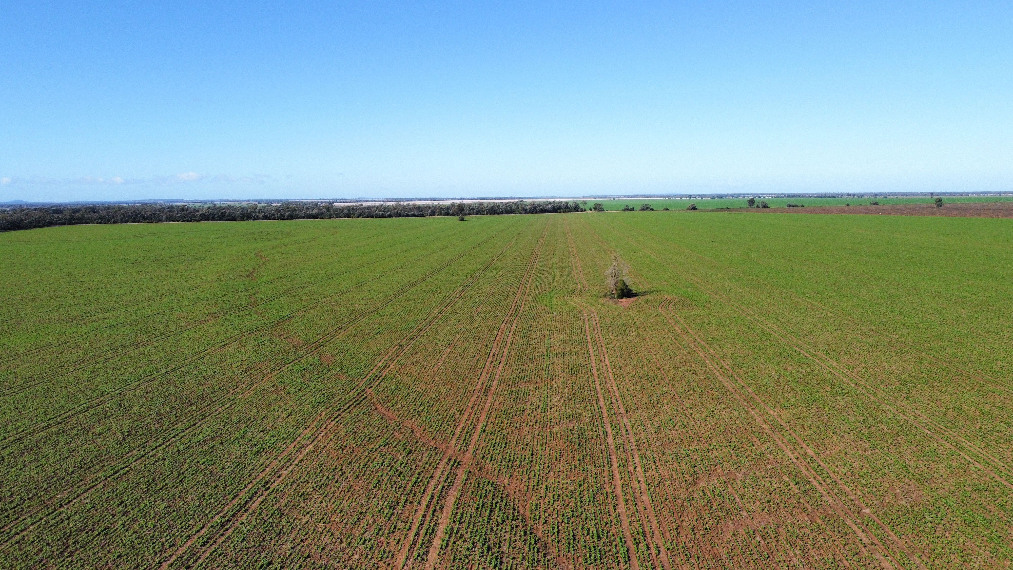 "Leyland" 356 Mungle Road, North Star, NSW 2408 Sold Rural Cropping