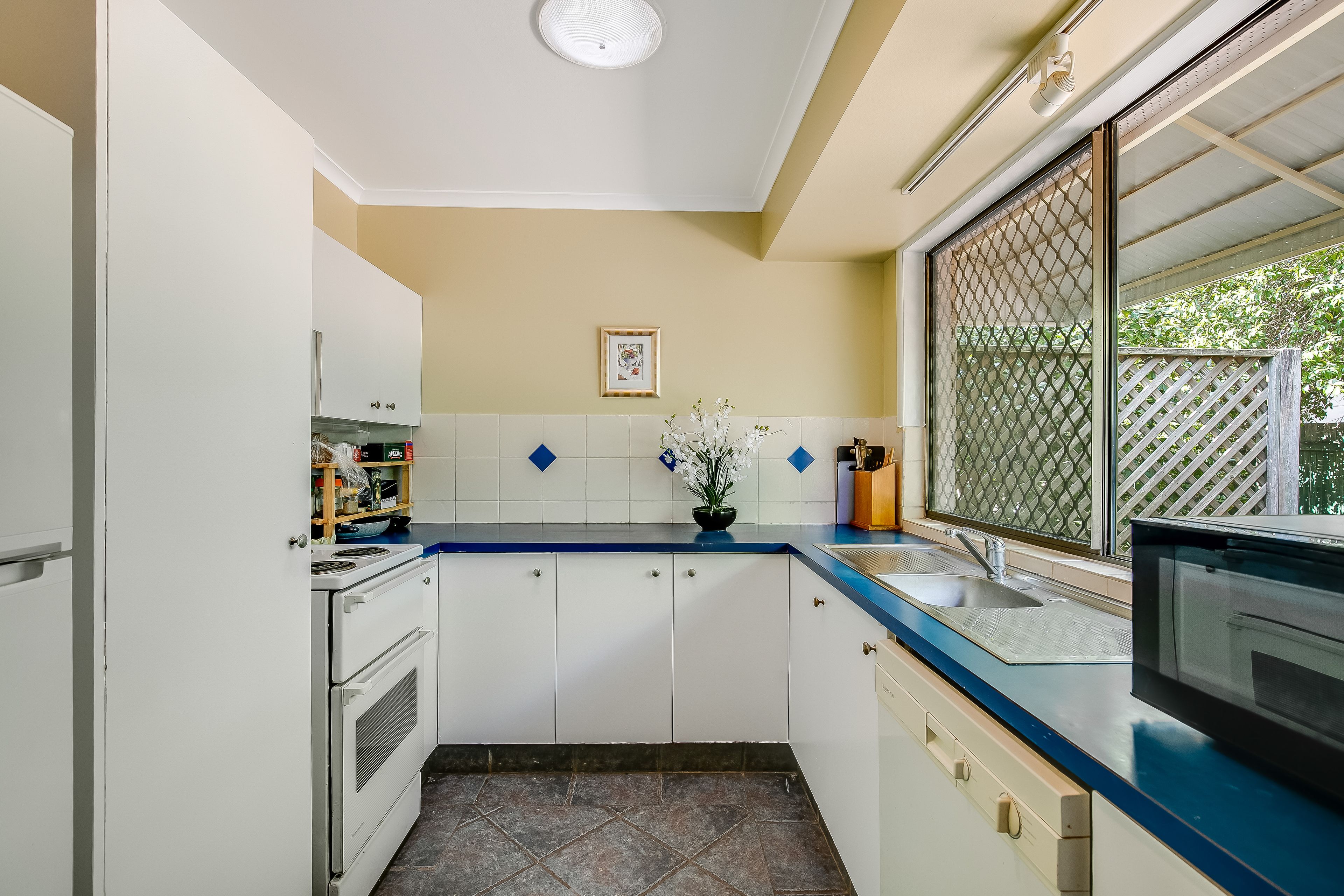 6 Gorman Street, Darling Heights, QLD 4350