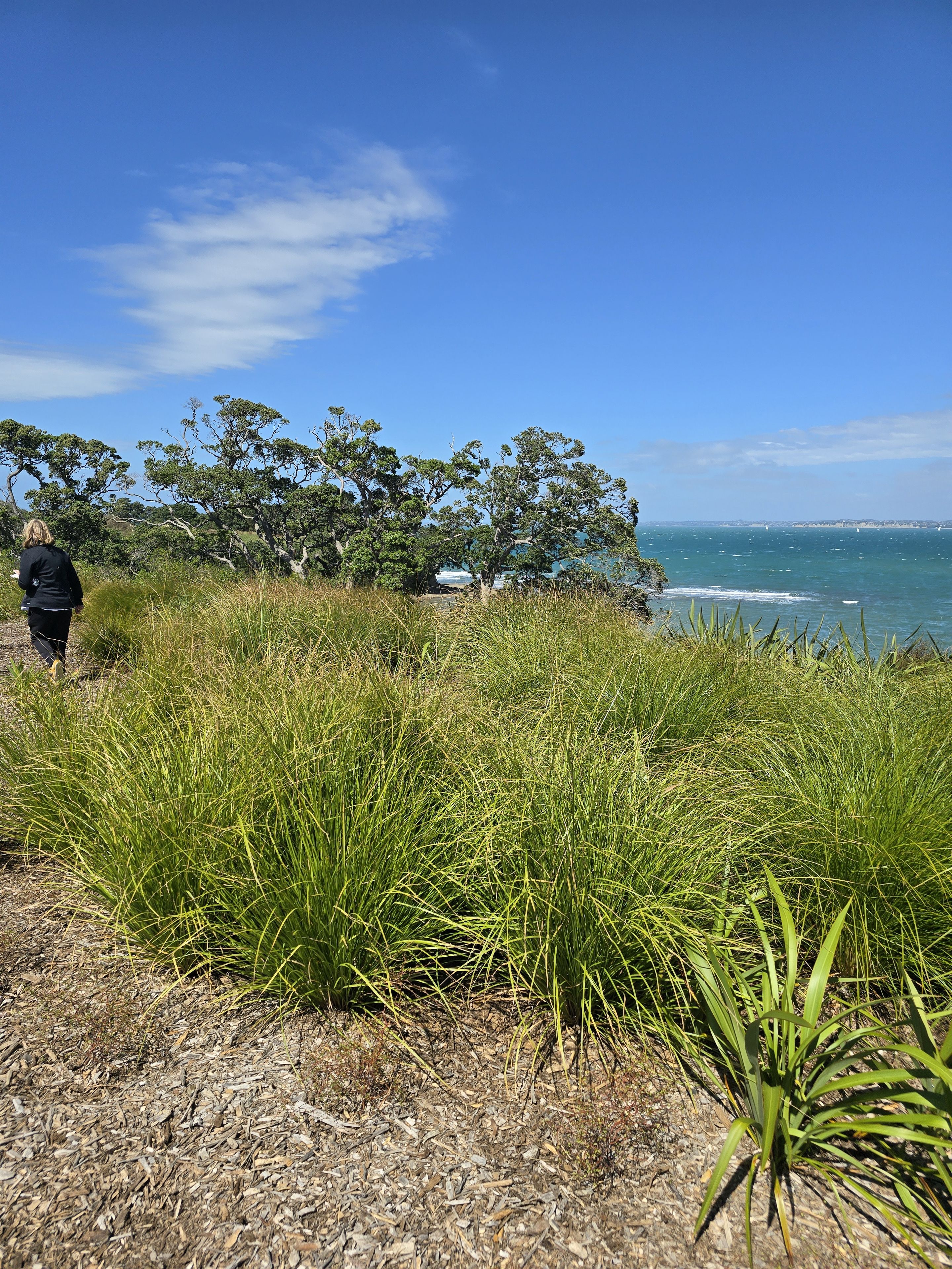 108 Ahuru Drive, Gulf Harbour, Rodney