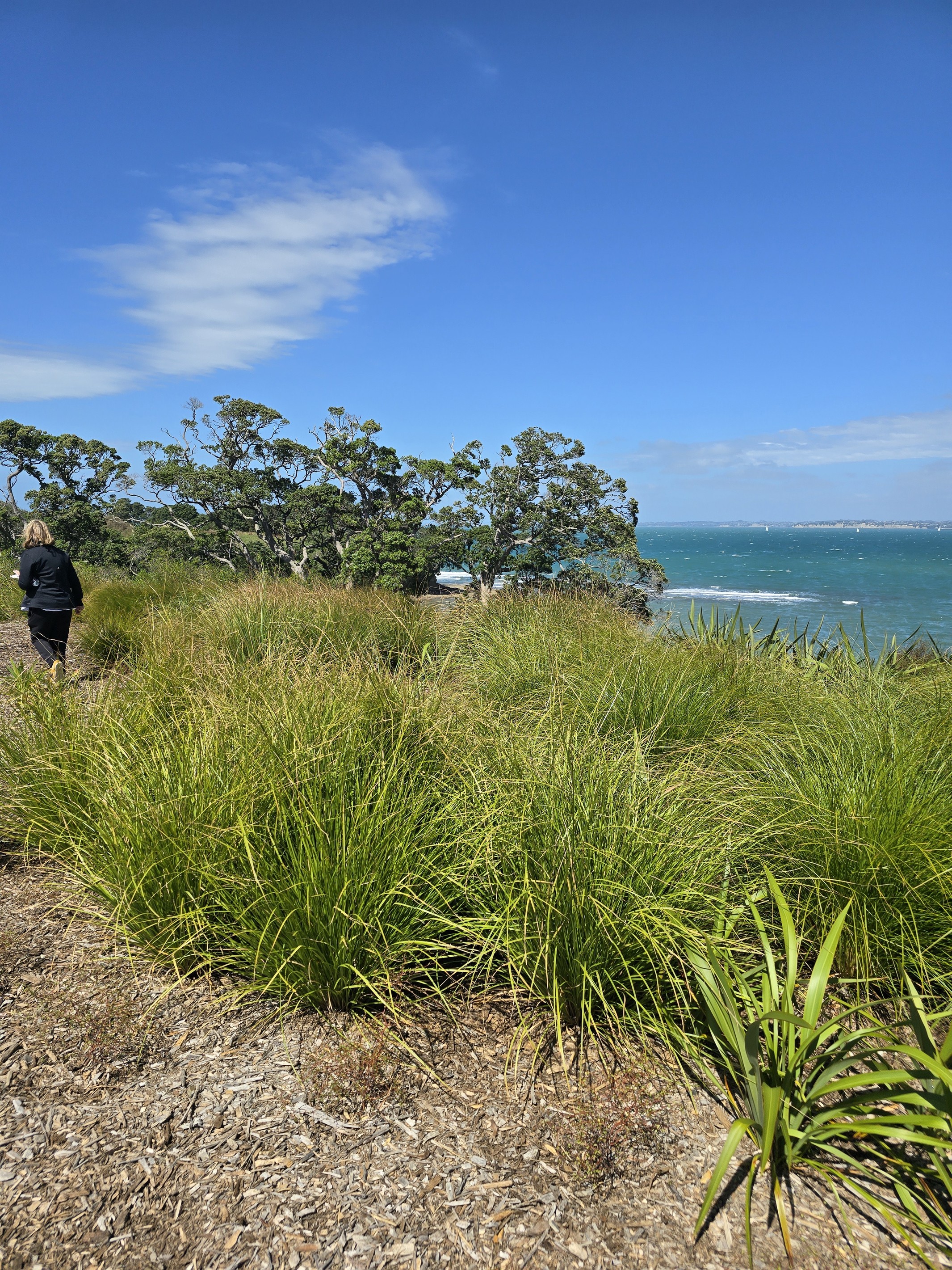 108 Ahuru Drive, Gulf Harbour, Rodney