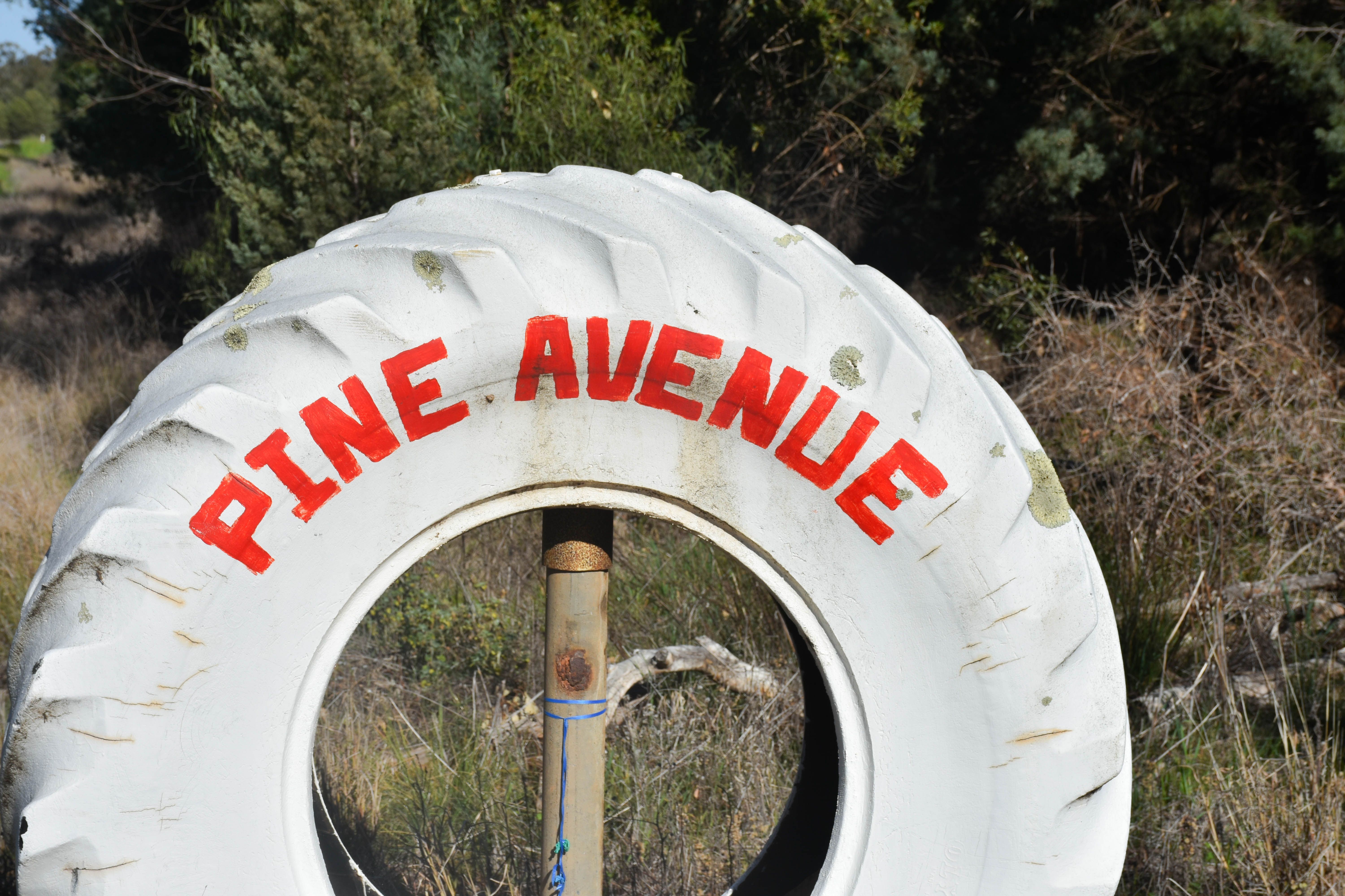 2666 Henry Parkes Way, Gunningbland, NSW 2876