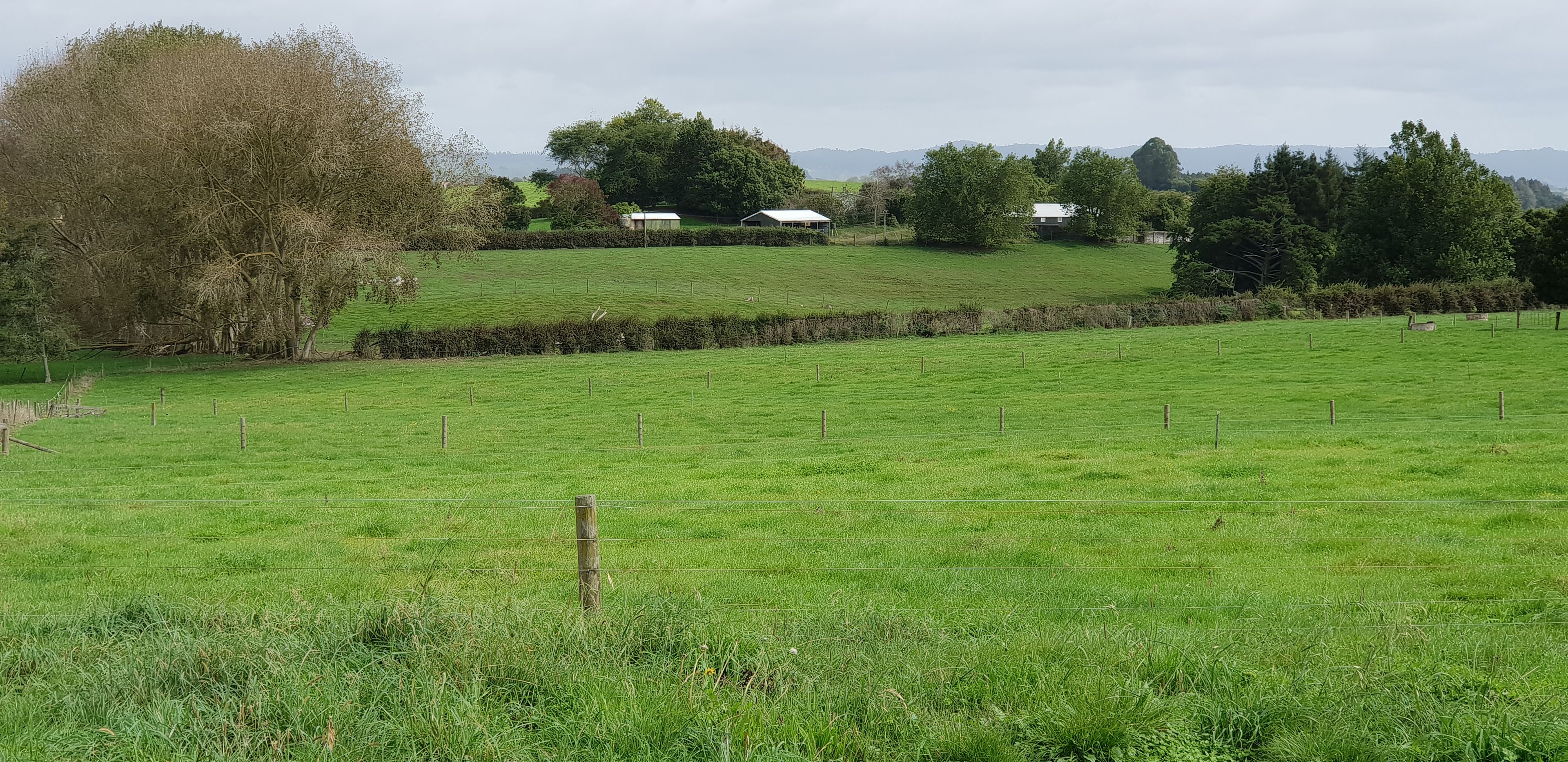 31 Wood Road, Temple View, Hamilton City