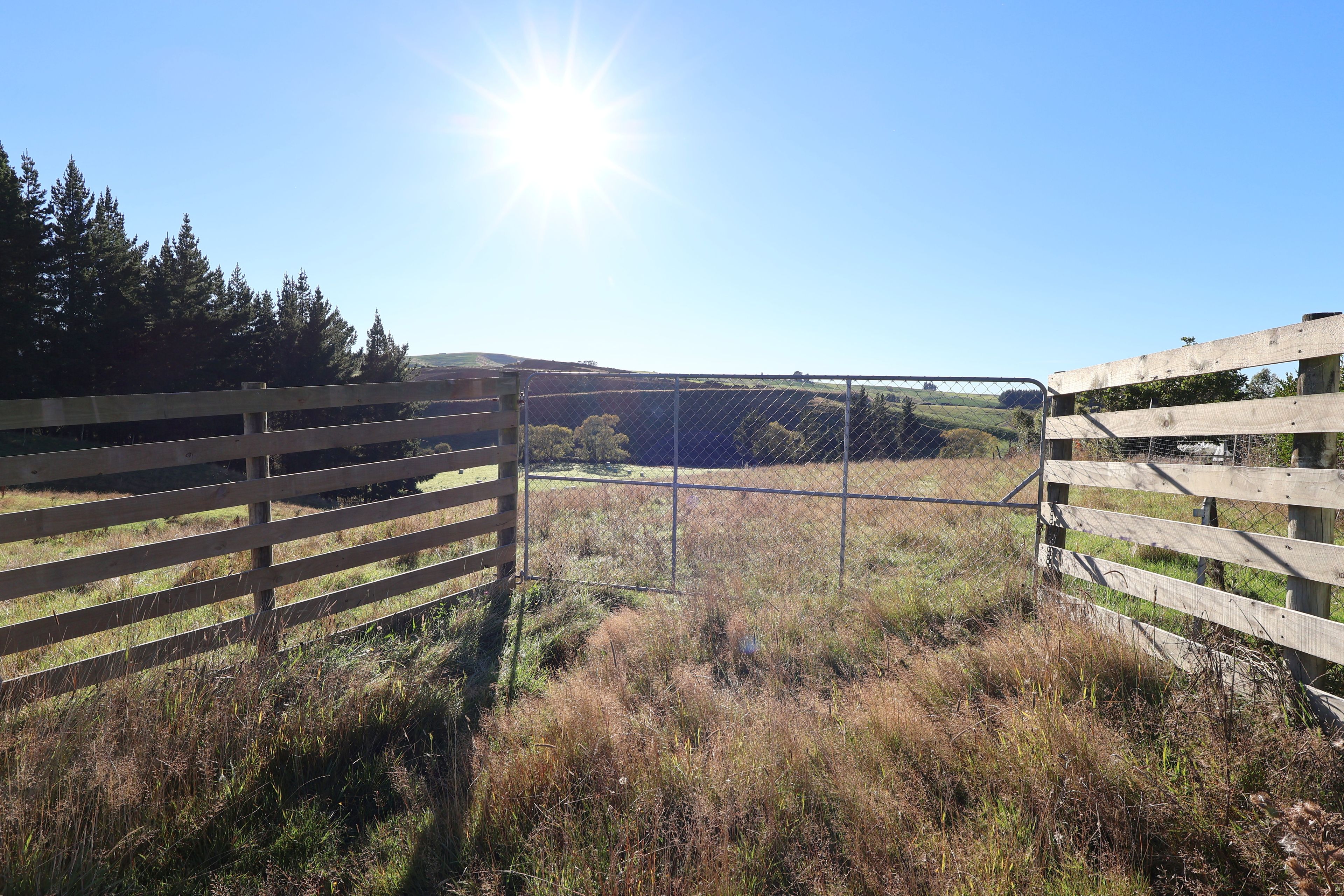 36 Osbourne Terrace, Nightcaps, Southland District