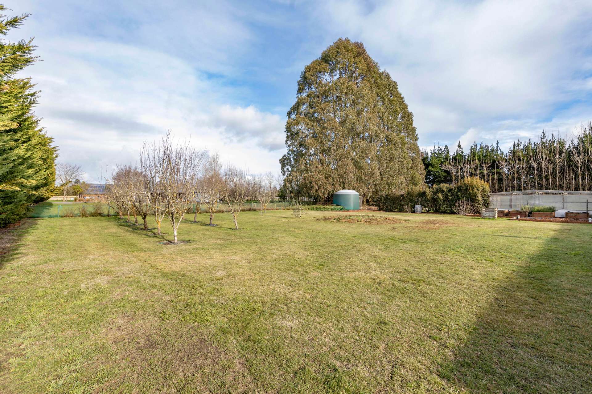 909 Downs Road photo 27