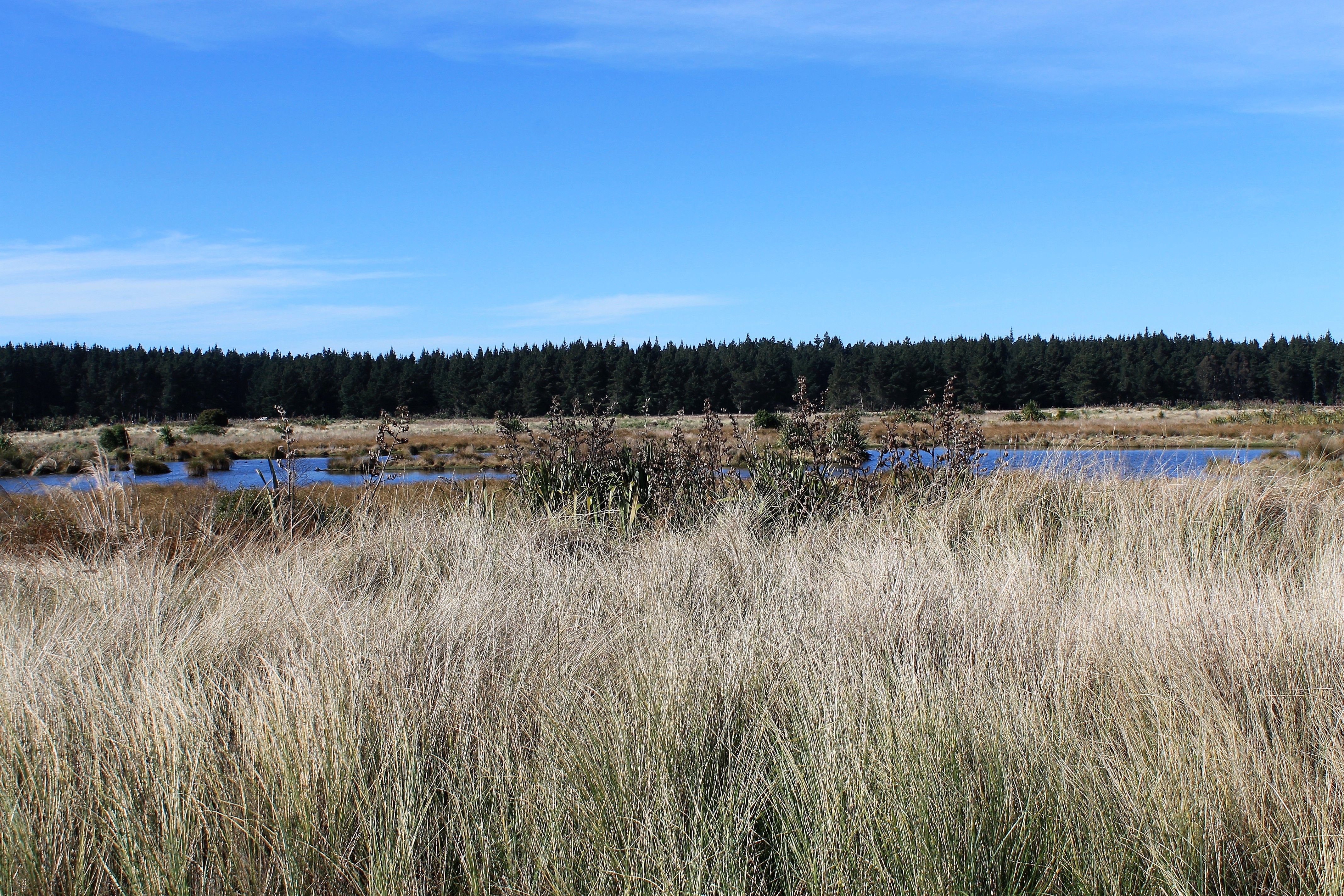 64 Te Kohanga Drive, Pegasus, Waimakariri District
