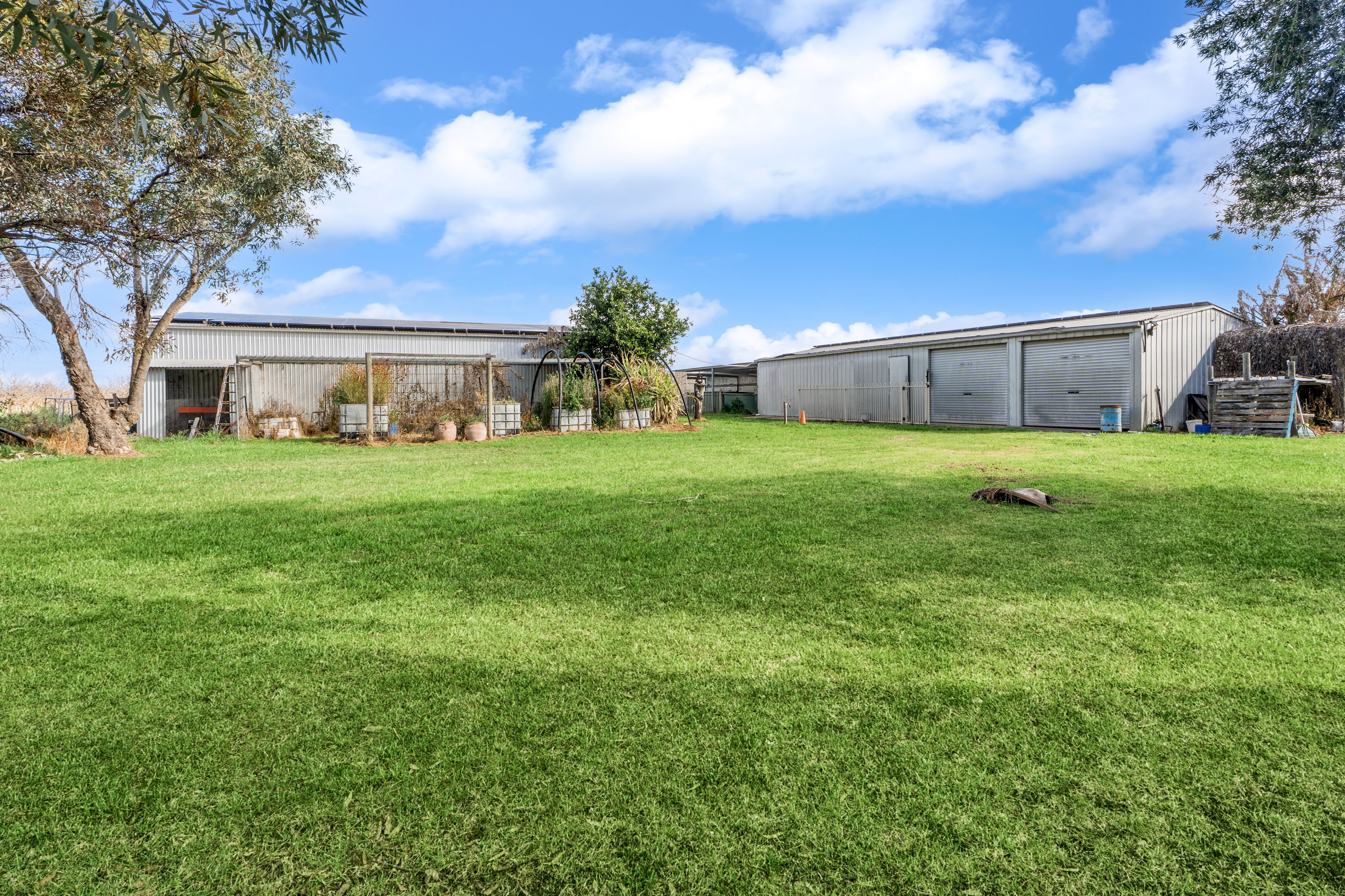 99 Falcon Street — photo 9 of 12