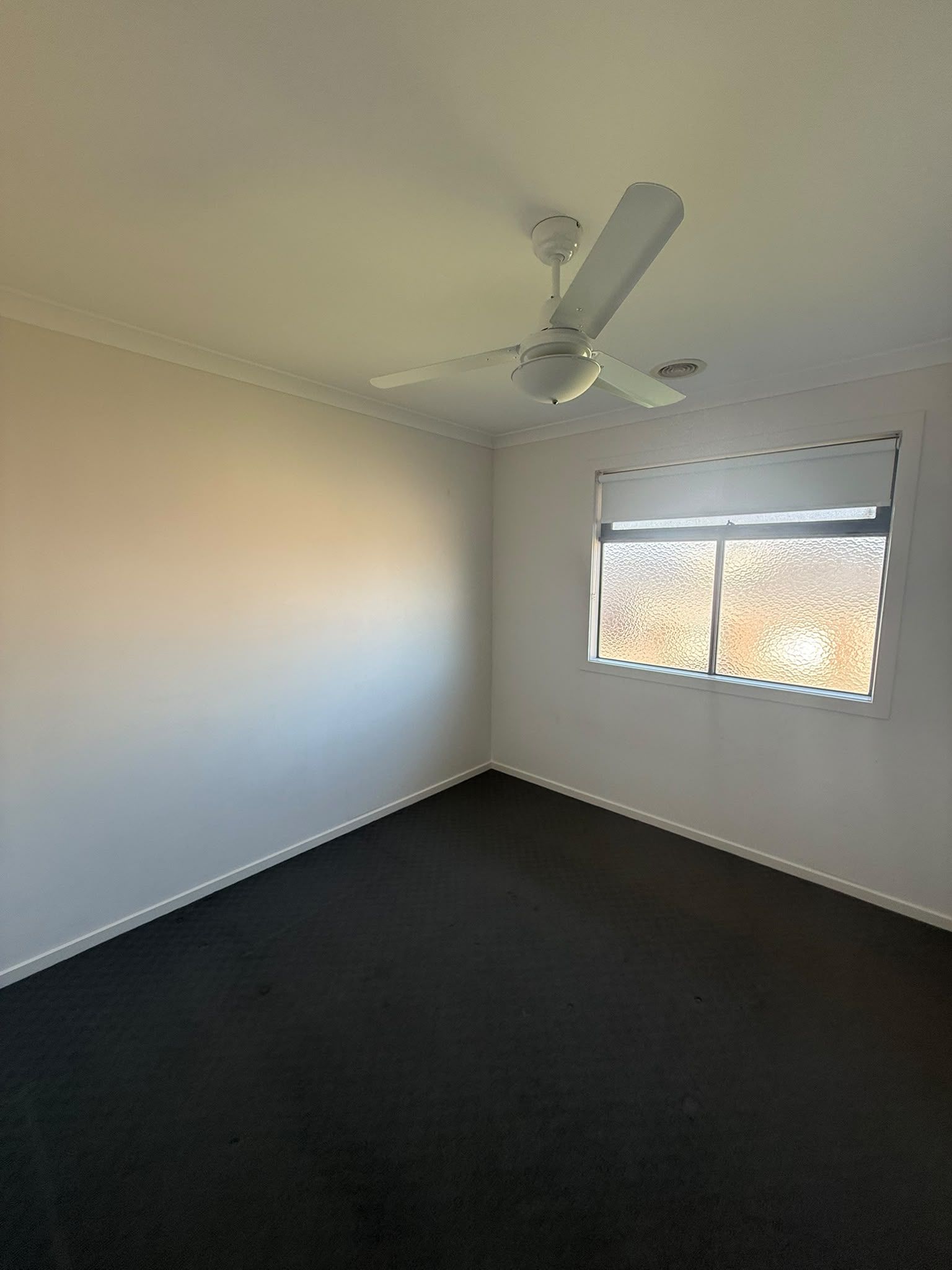 12 Arnott Street — photo 5 of 13