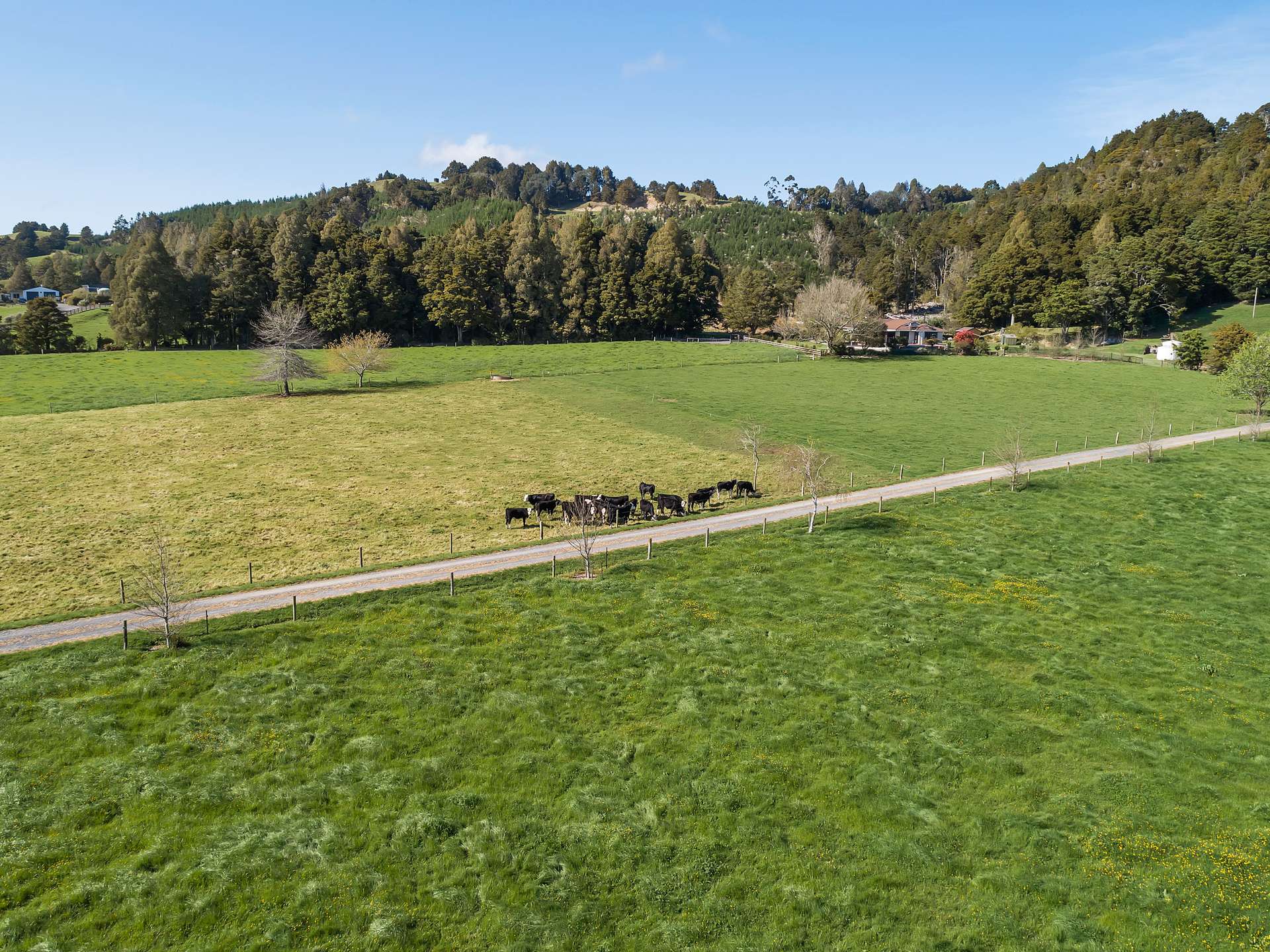 289 Hukerenui Road photo 4