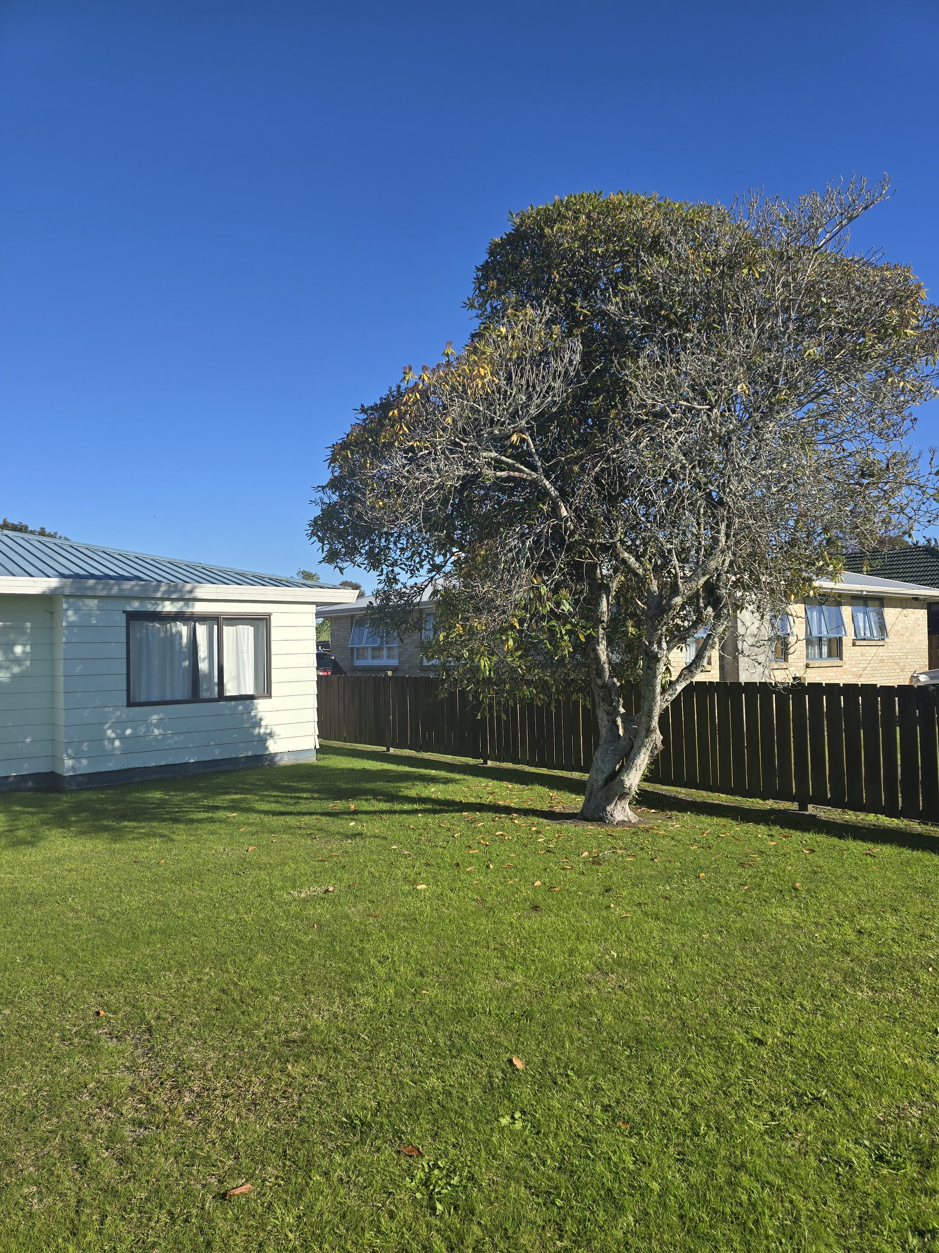 25 State Highway 30, Whakatane, Whakatane District