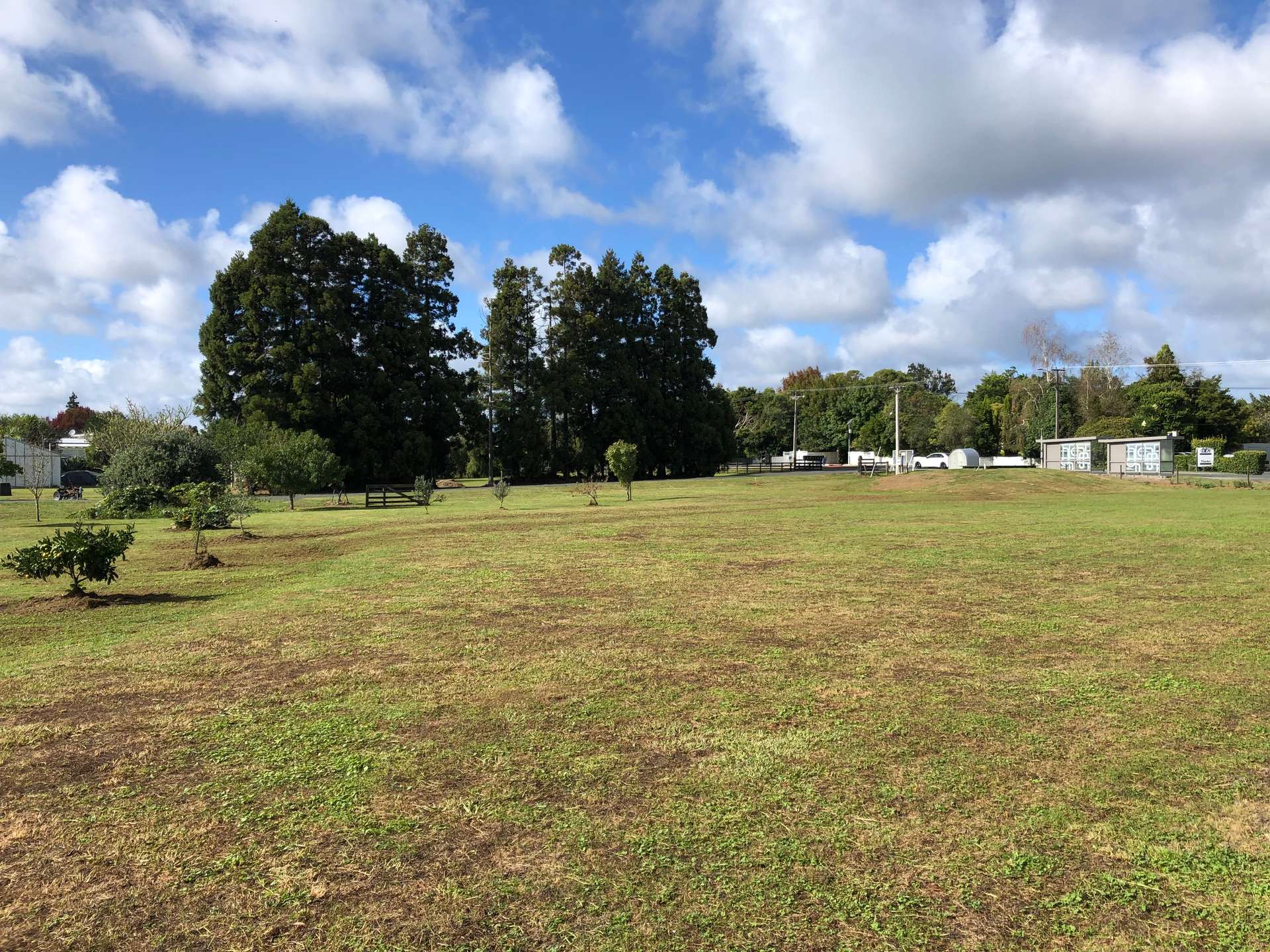 970 Kahikatea Flat Road photo 9