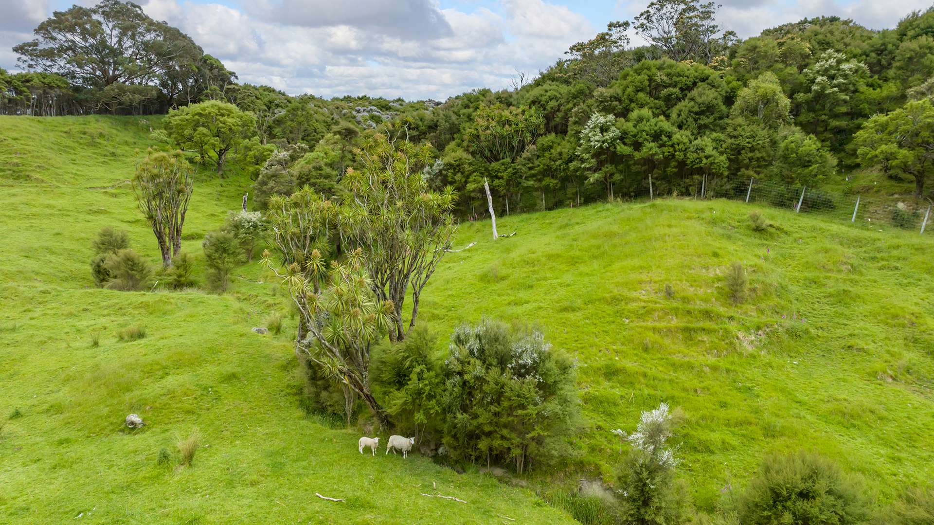 418 Kaiwaka Road photo 8
