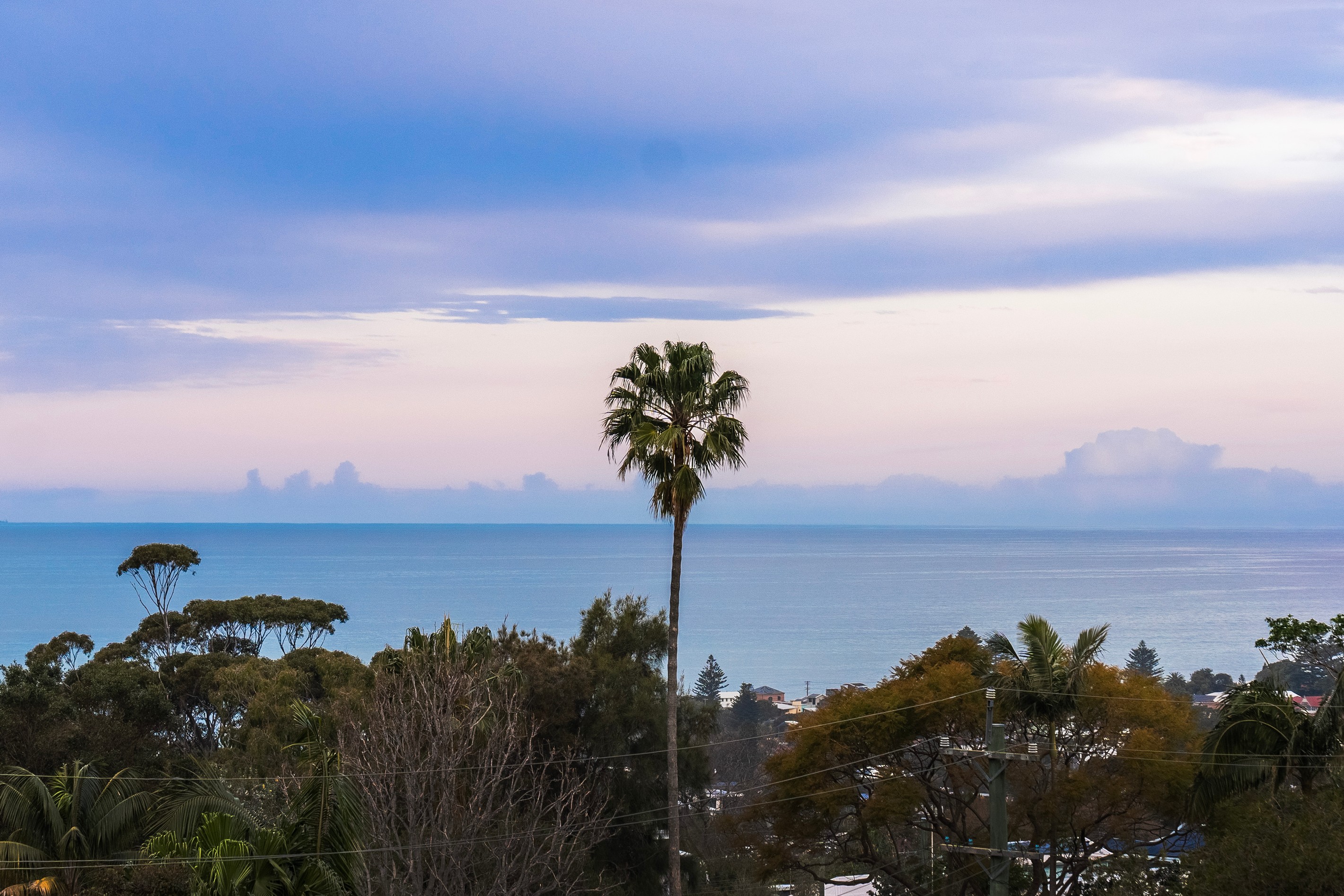 8 Treetop Glen, Thirroul, NSW 2515