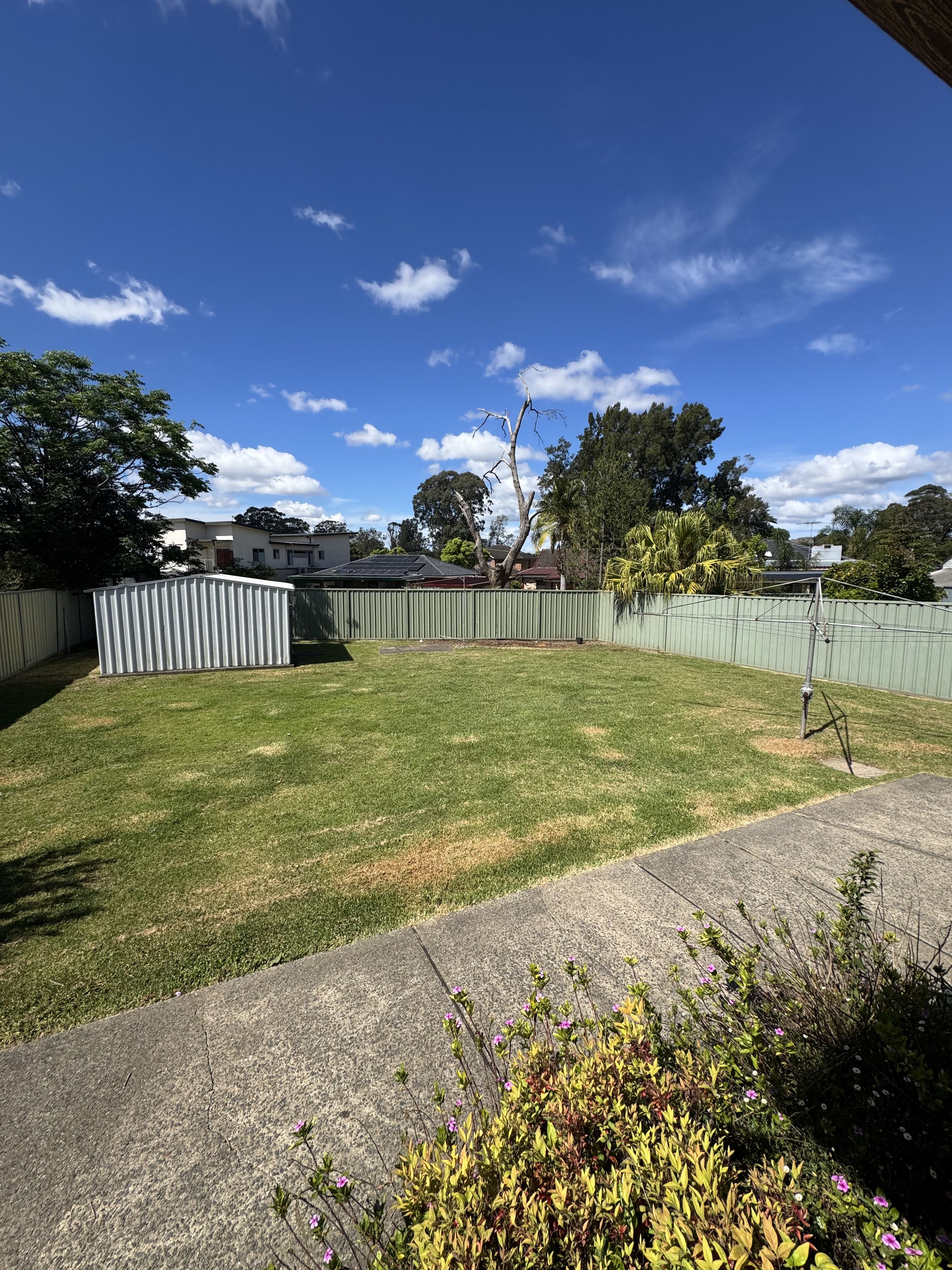 4 Alexander Crescent — photo 13 of 15