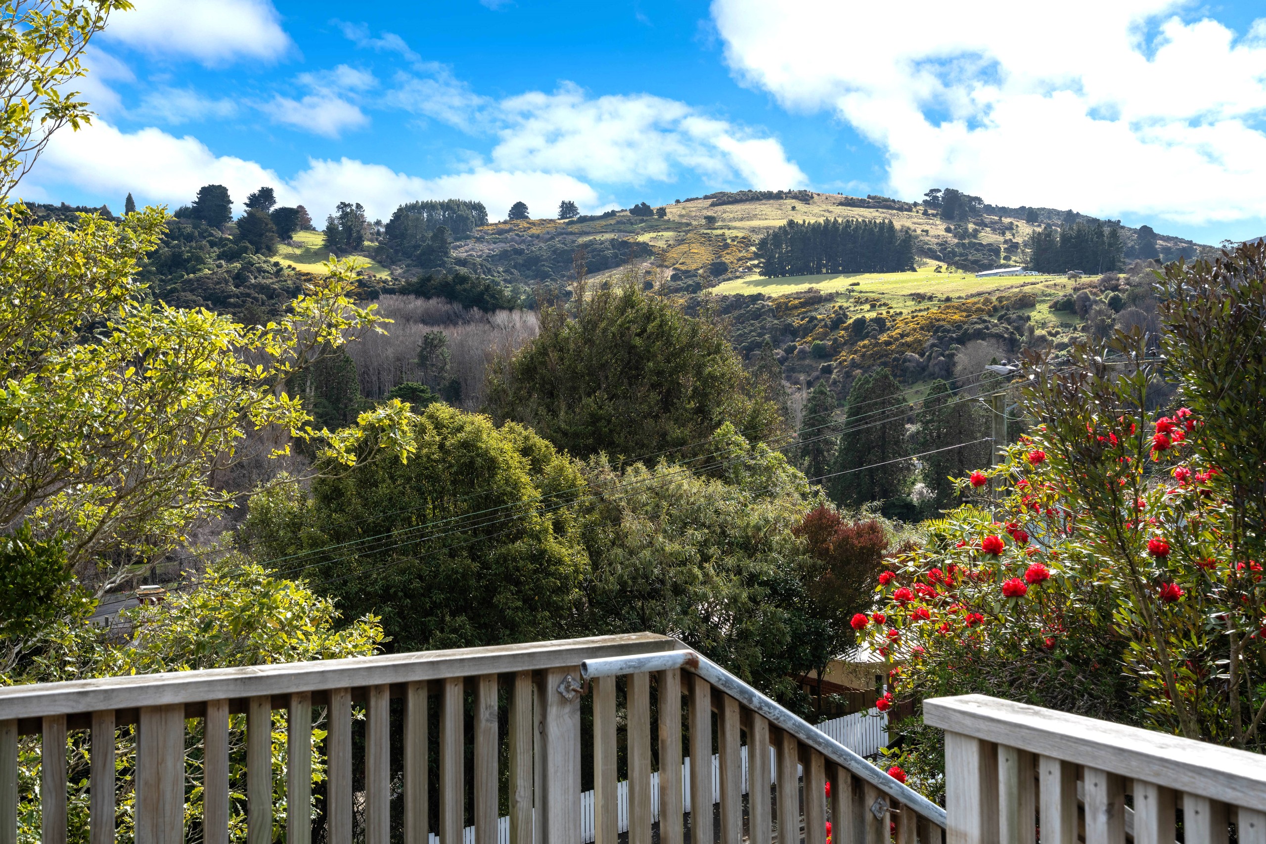 48 Rhodes Terrace, North East Valley, Dunedin City
