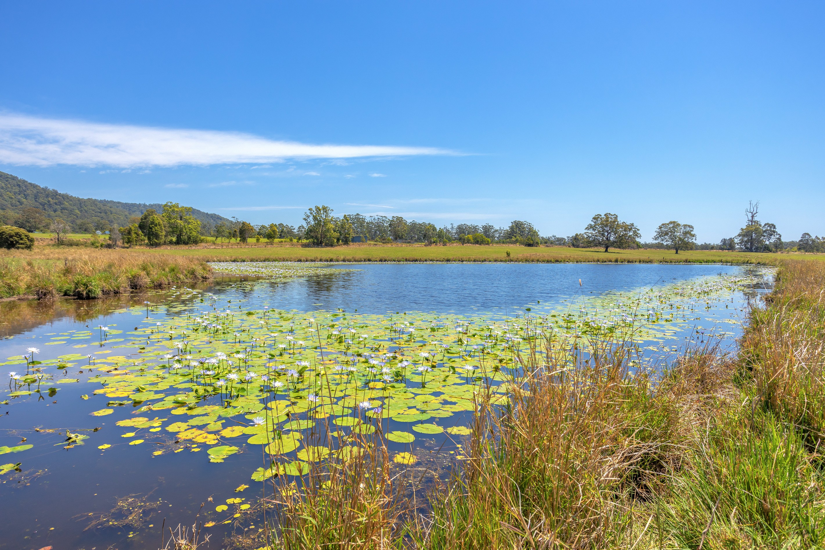 389 Careys Road, Hillville, NSW 2430