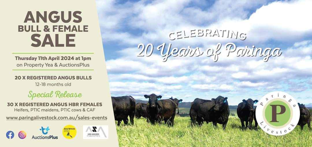 93 Creeds Road, Murrindindi, VIC 3717