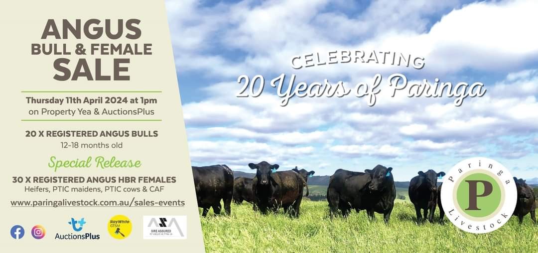 93 Creeds Road, Murrindindi, VIC 3717