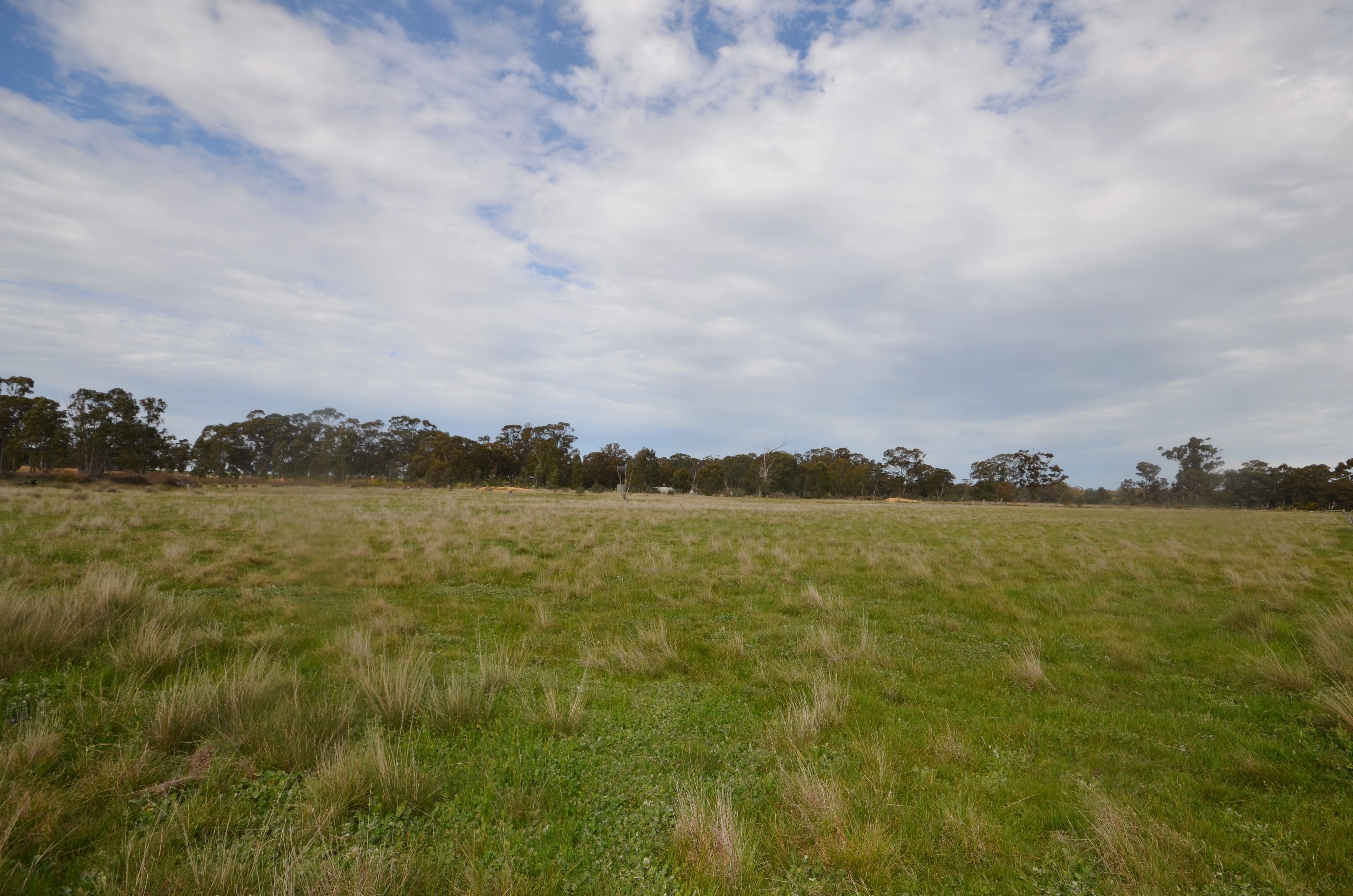 CA 41 & 43 Sims Lane, HOMEBUSH, VIC 3465