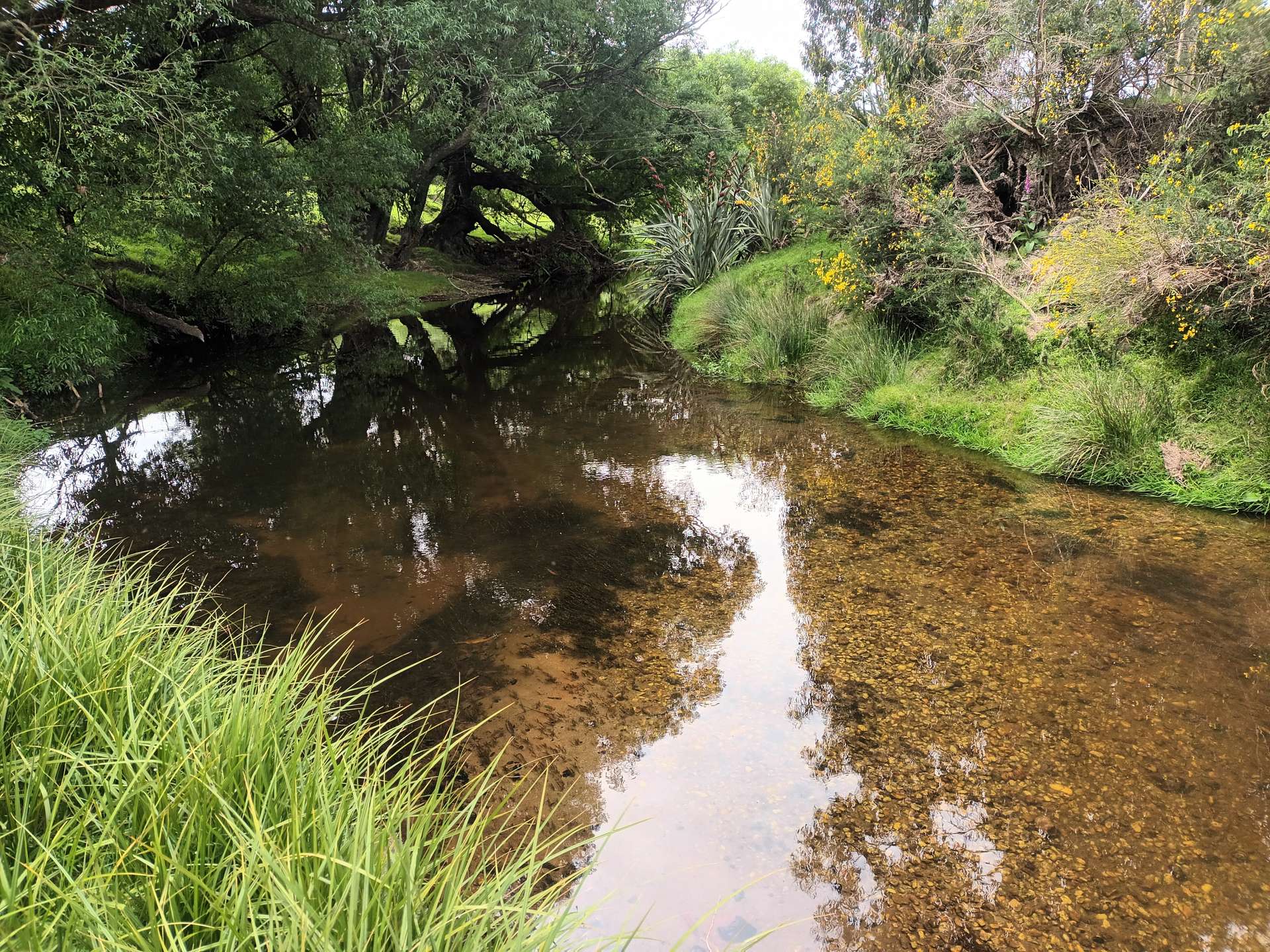 202 Koi Flat Road photo 29