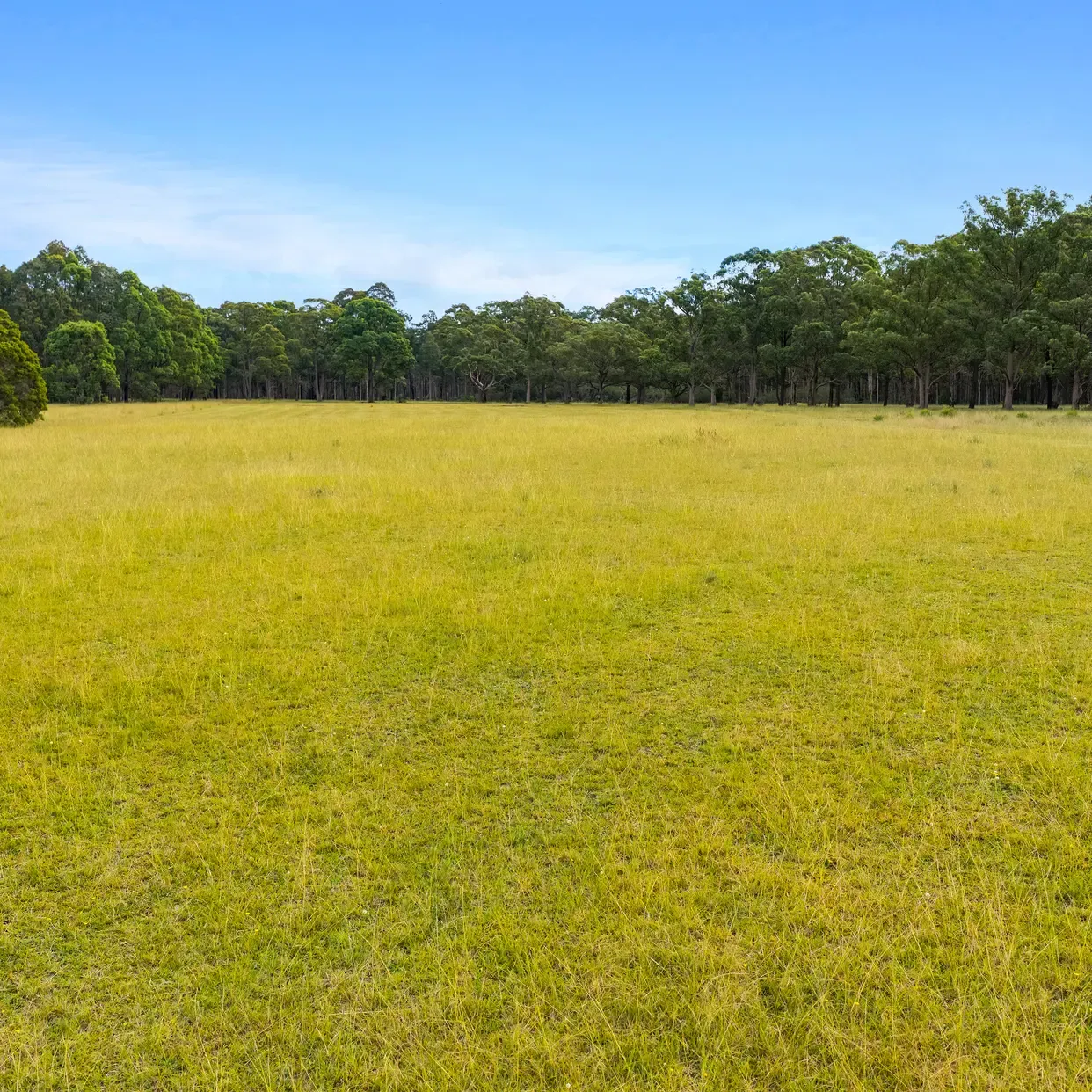 240 Cabbage Tree Lane — photo 10 of 11
