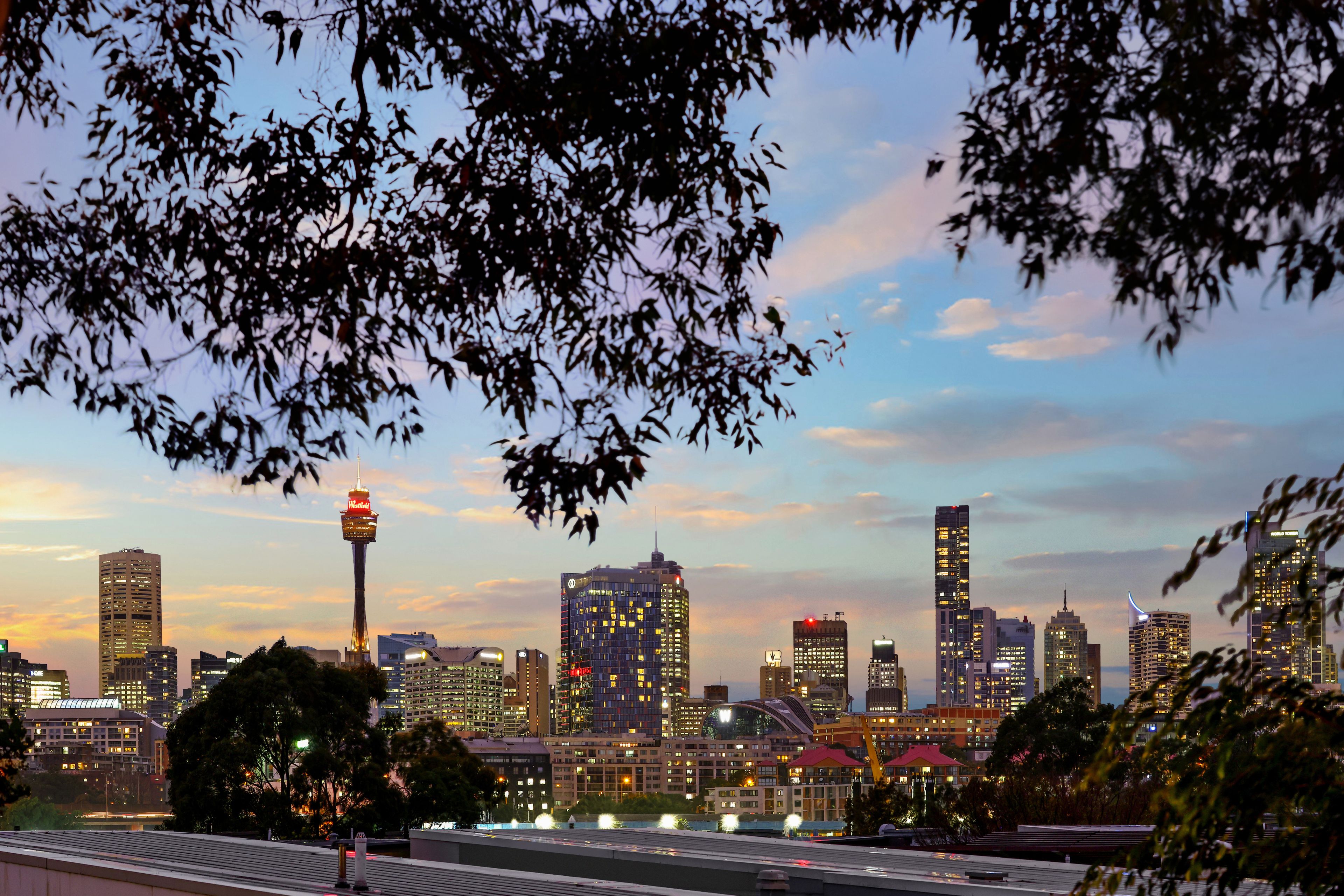 5/23-25 Cook Street, Glebe, NSW 2037