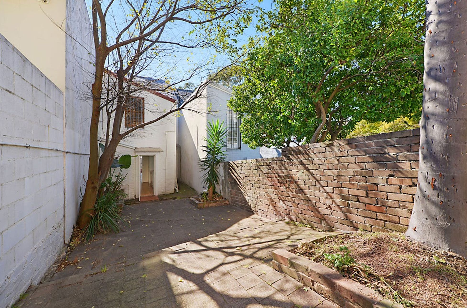 17 Olive Street, Paddington, NSW 2021