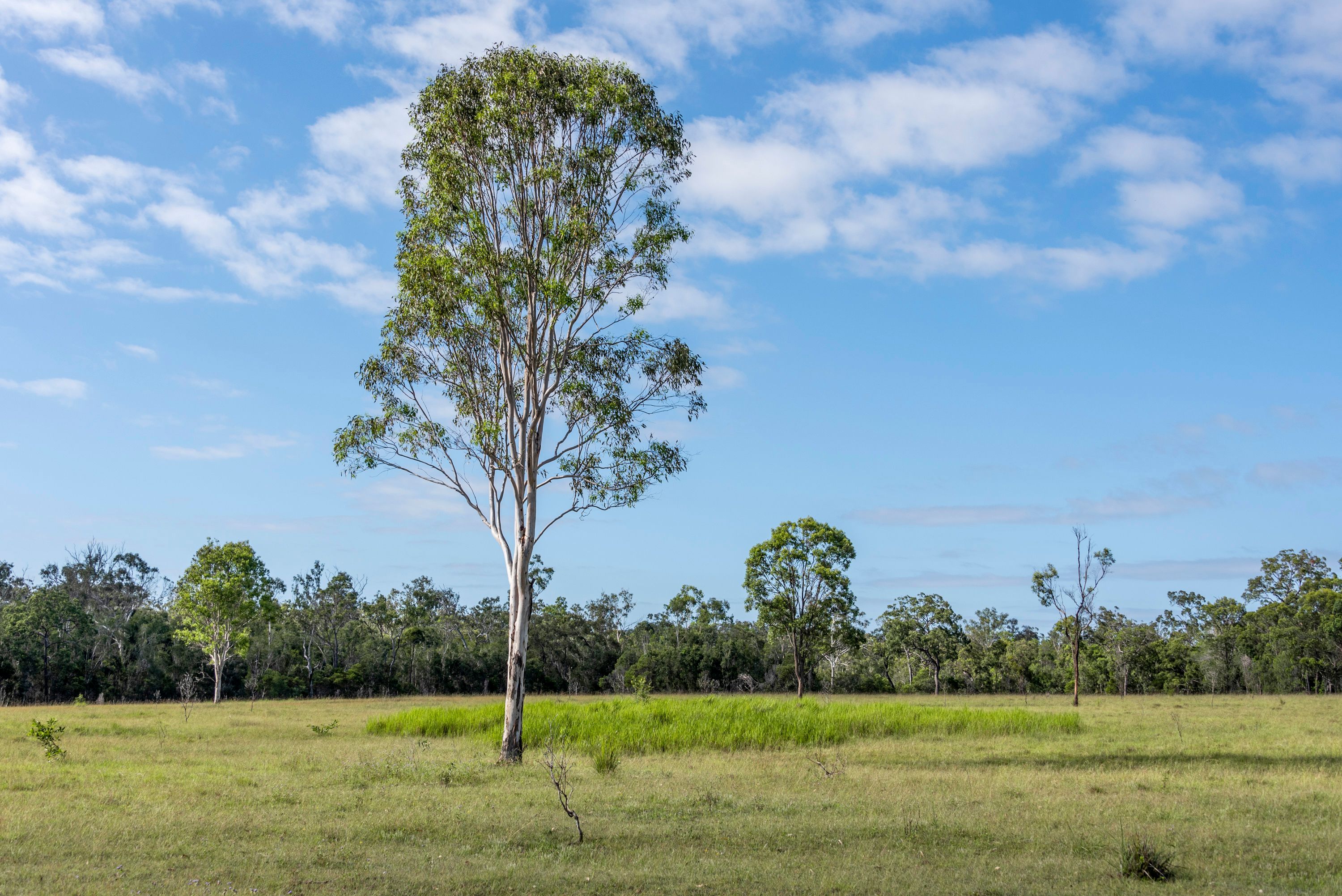 Proposed Lots on 64 Kent Parade ALL UNDER CONTRACT, Torbanlea, QLD