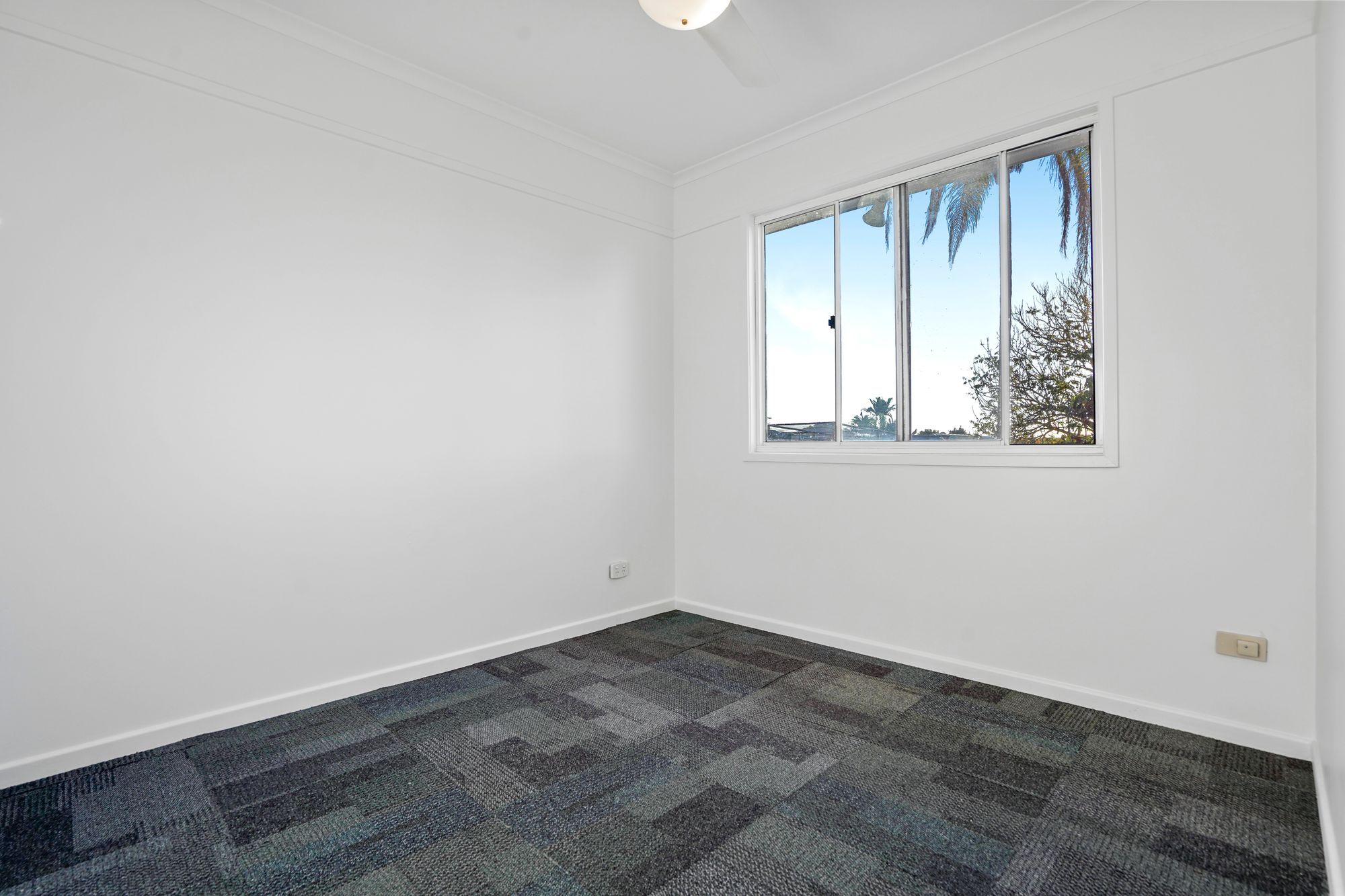 10 Devine Street — photo 10 of 22