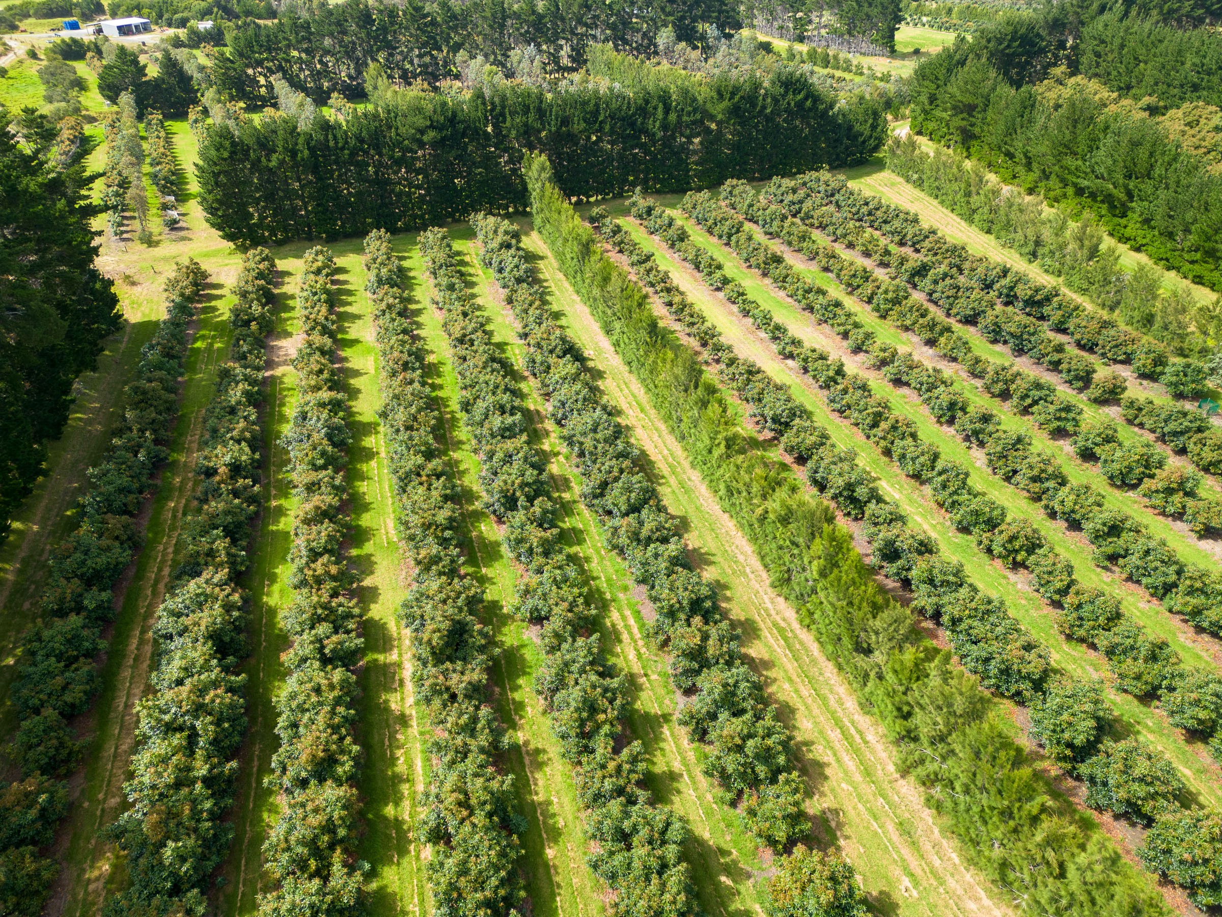 373 Kimberley Road, Ngataki, Far North District