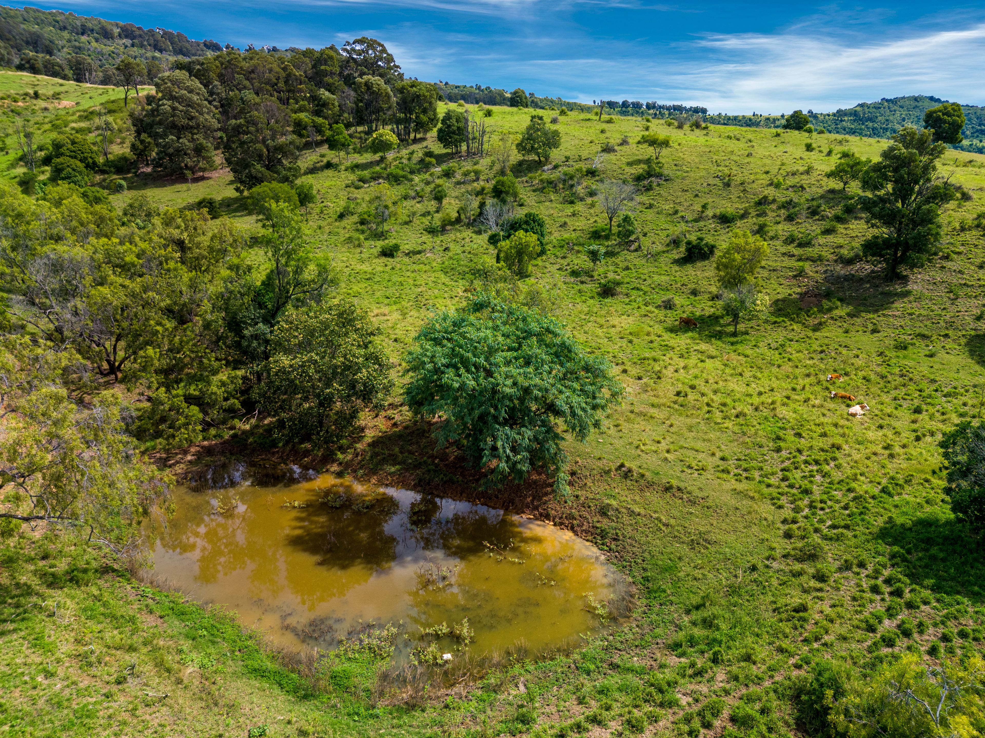 2 Ferrari Lane, Laidley Creek West, QLD 4341 Rural Property for Sale