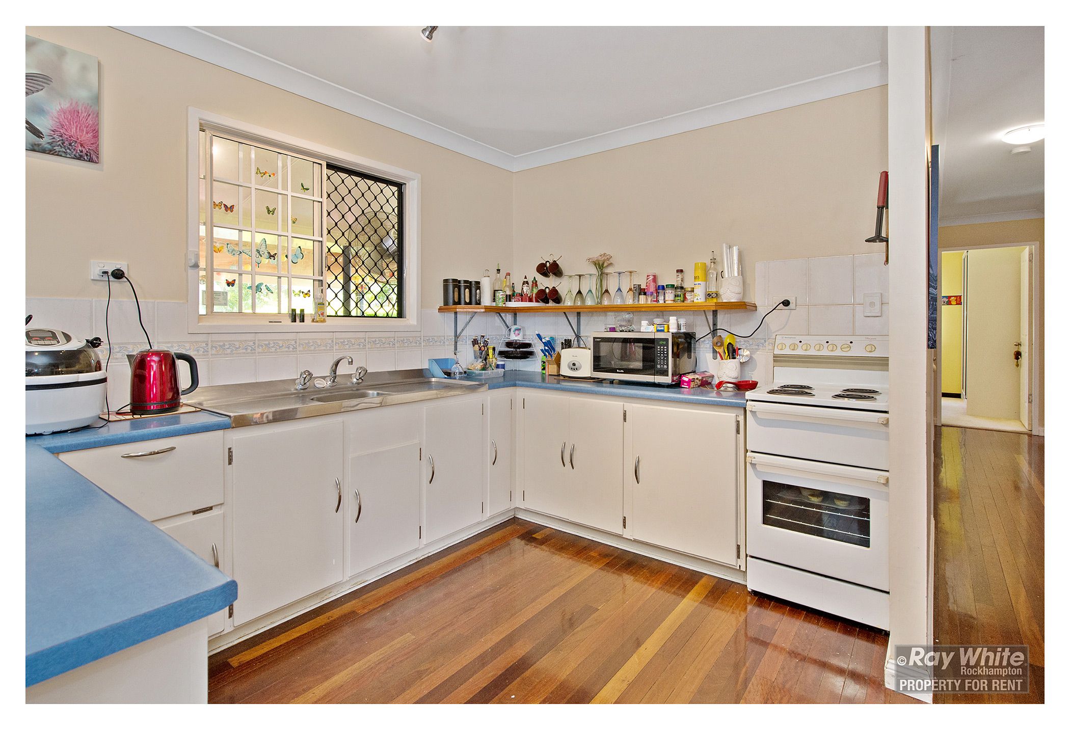 326 Duthie Avenue, Frenchville, QLD 4701