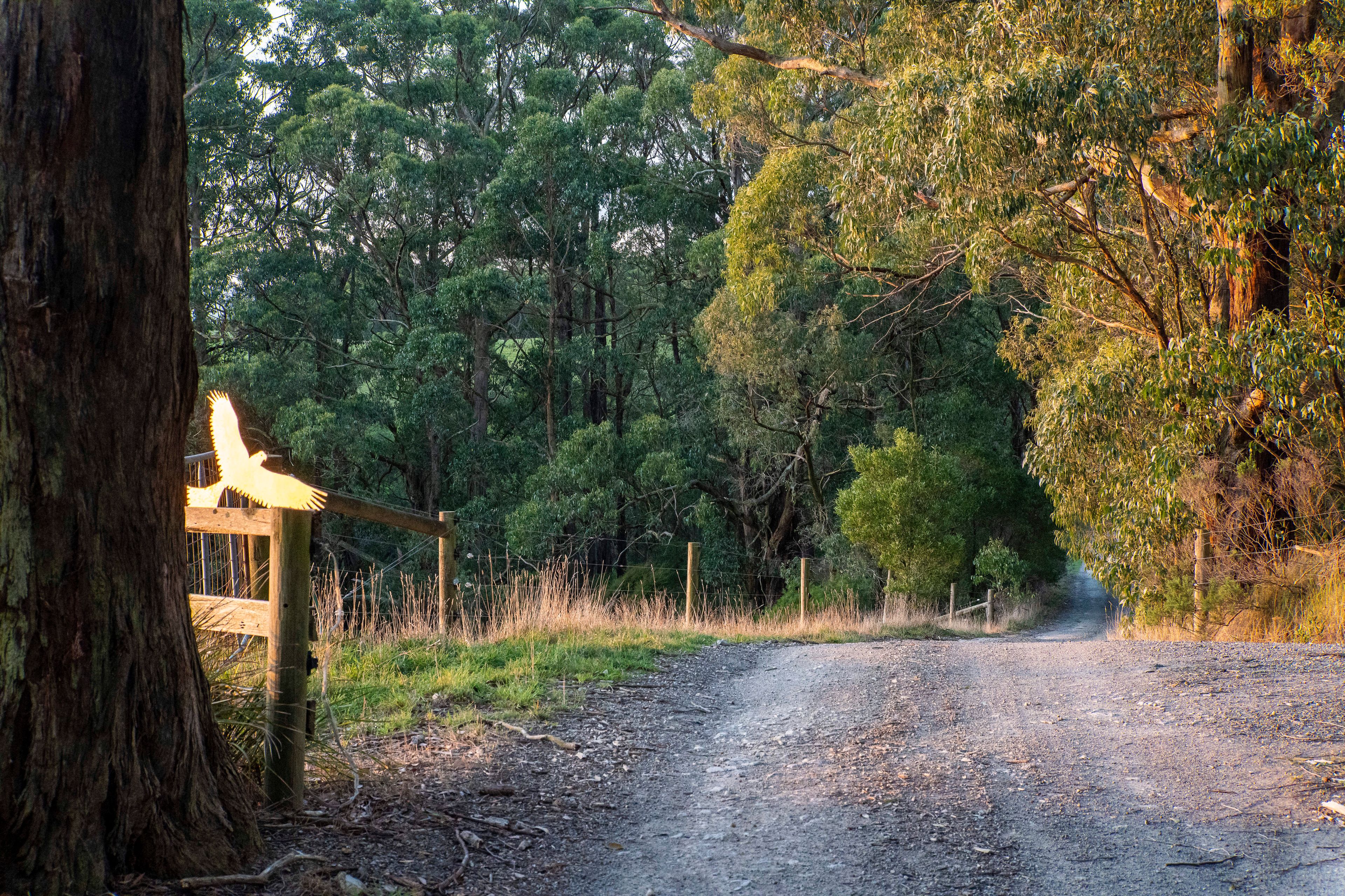 2160 Meeniyan-Promontory Road, Fish Creek, VIC 3959