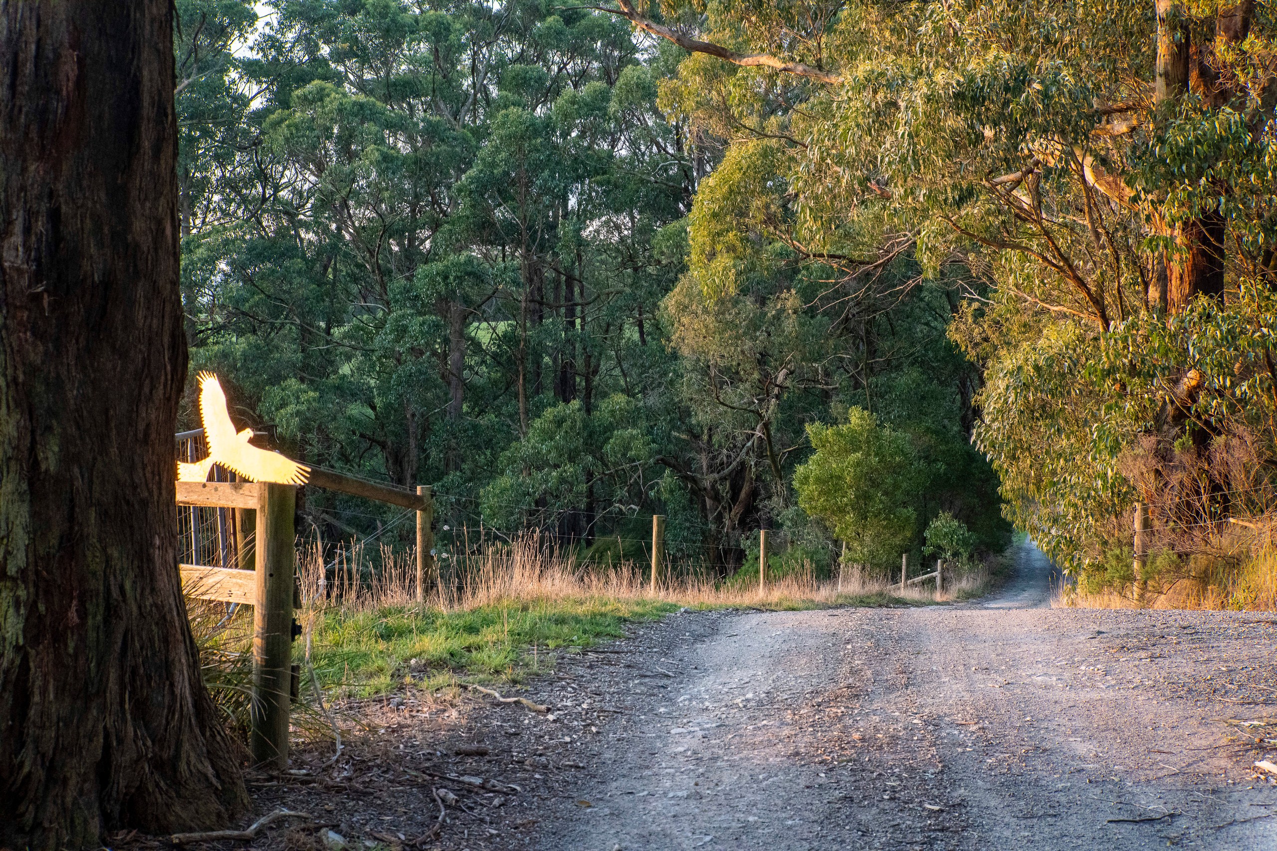 2160 Meeniyan-Promontory Road, Fish Creek, VIC 3959