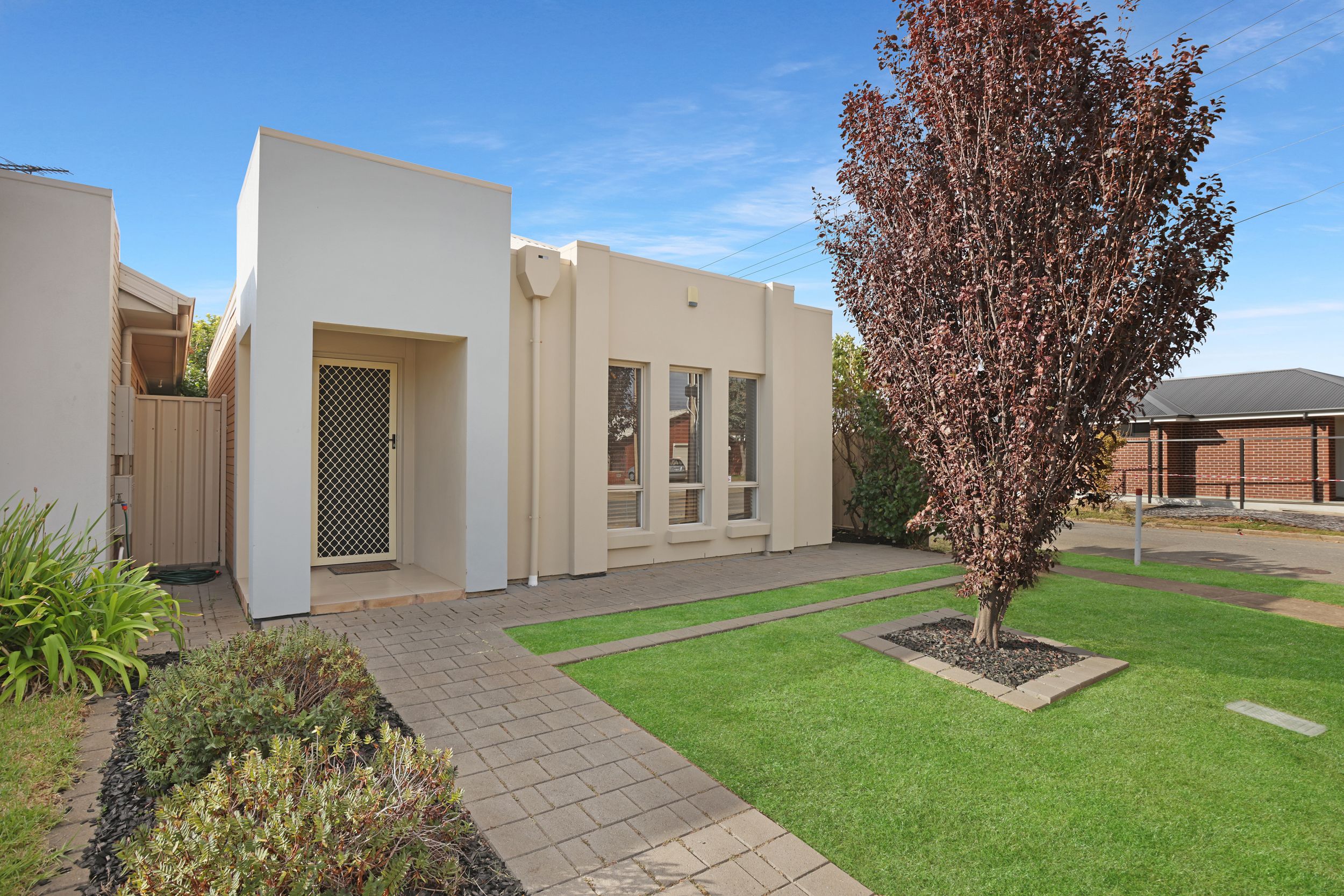 52 Russ Avenue, Seaton SA 5023