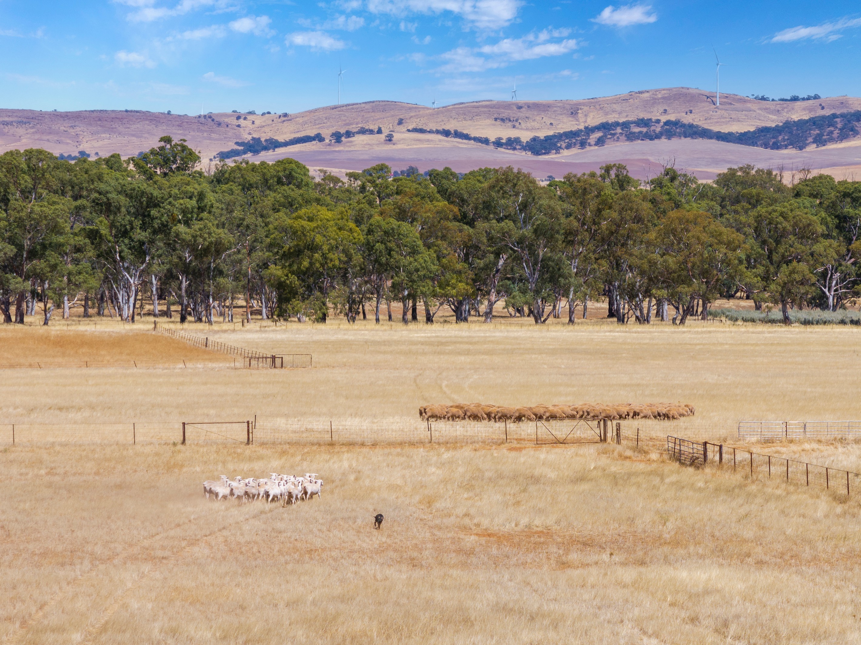'Klingers' Frost Road, Mannanarie, SA 5422