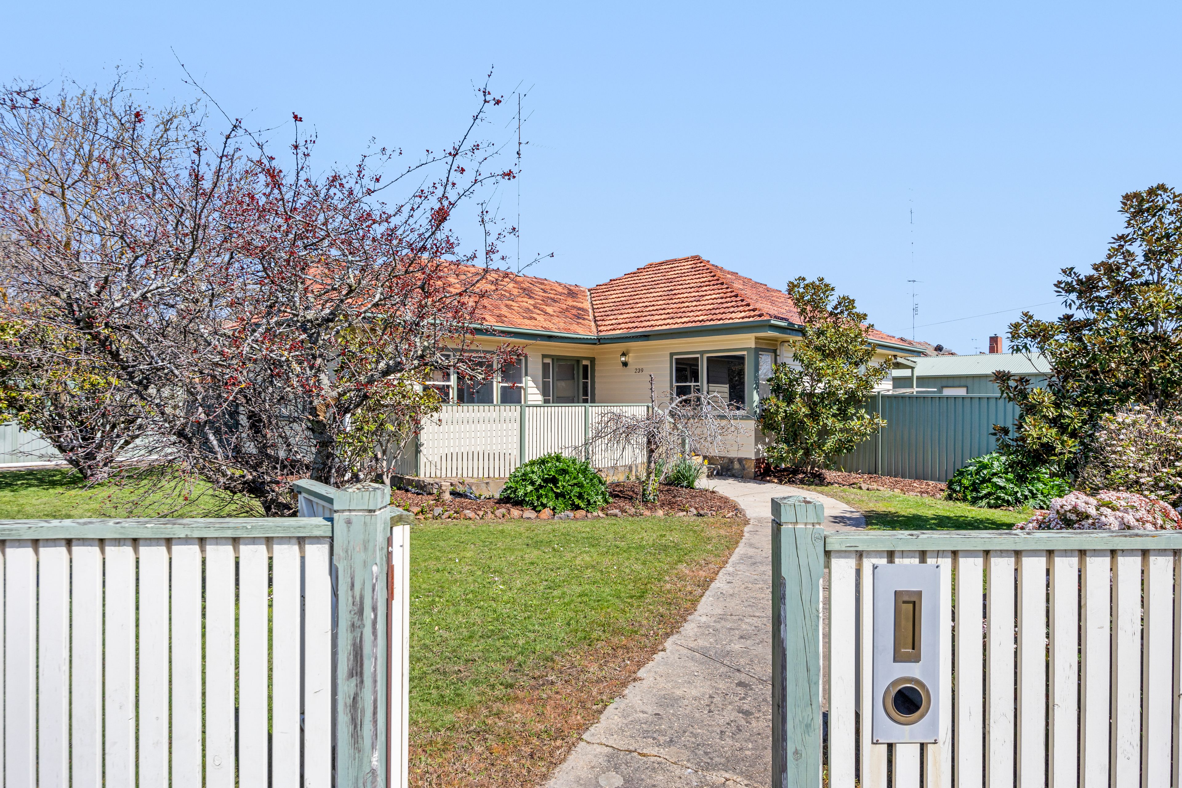 239 Dowling Street — photo from Ray White Ballarat