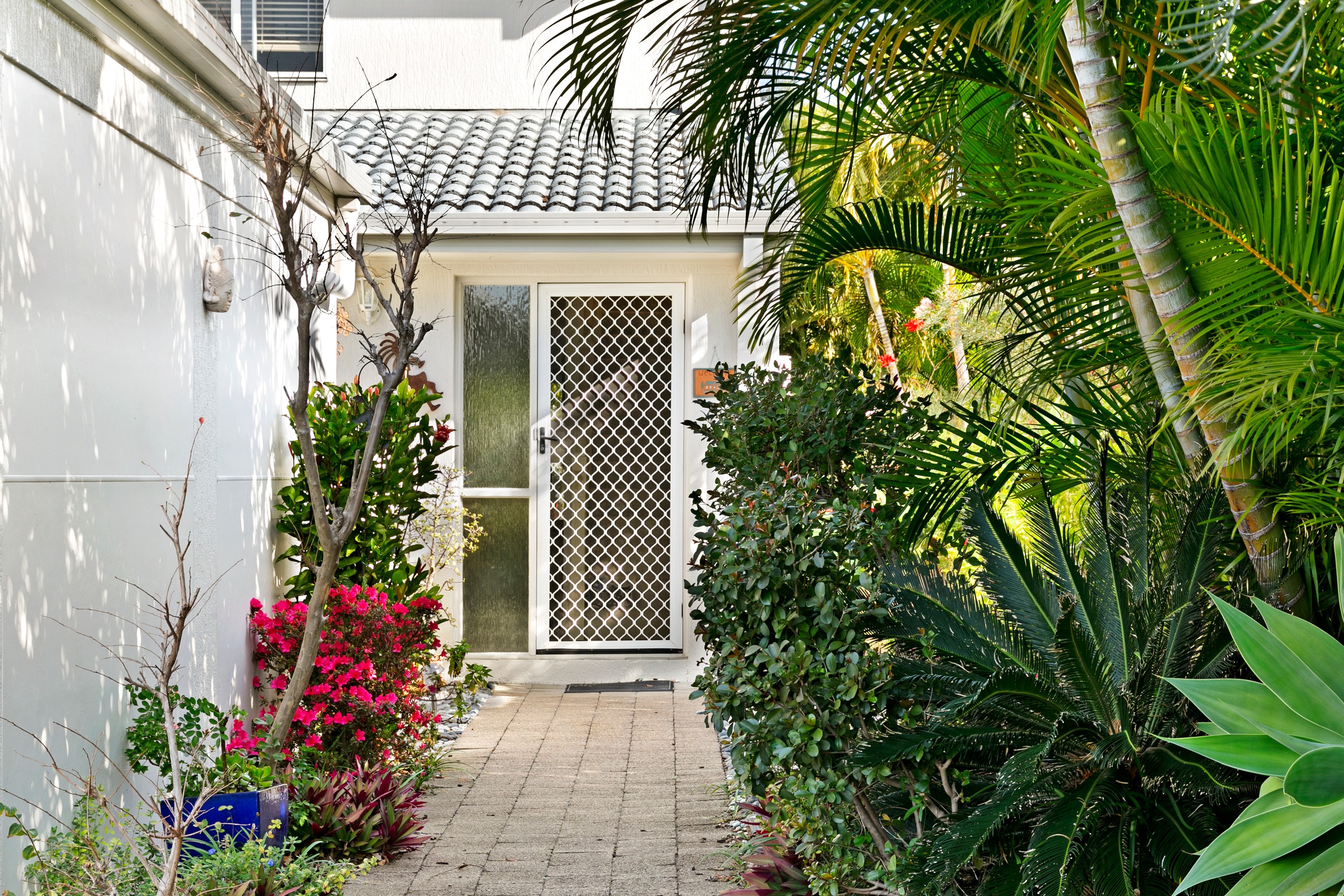 19/15 Bridgman Drive, Reedy Creek, QLD 4227